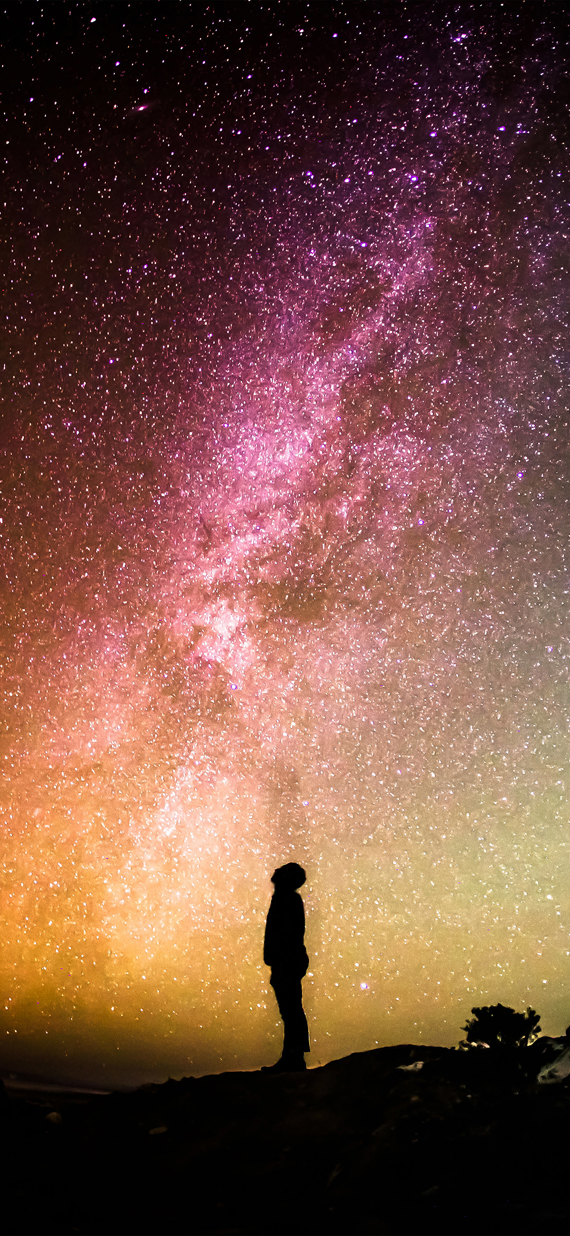 1130x2440 iPhone X wallpaper. sky galaxy milkyway space night, Phone