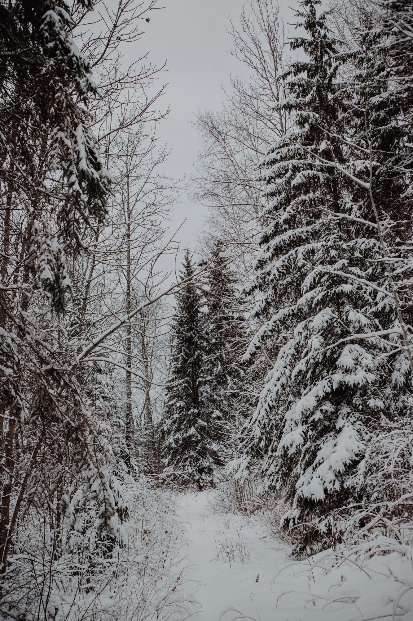 1340x2000 winter aesthetic, winter aesthetics, pretty winter photo, Phone