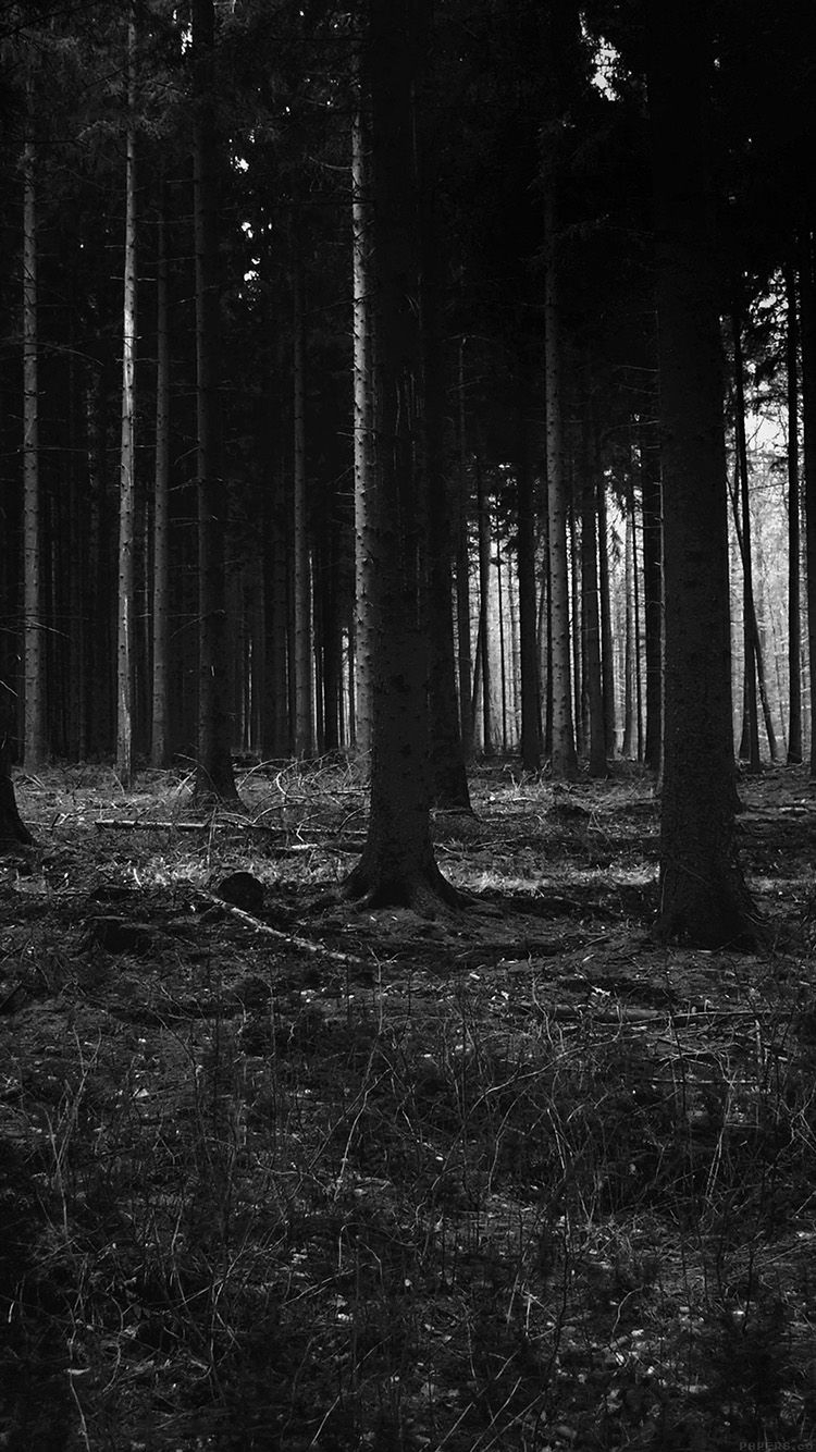 750x1340 Forest Dark Scary Night Trees Nature, Phone