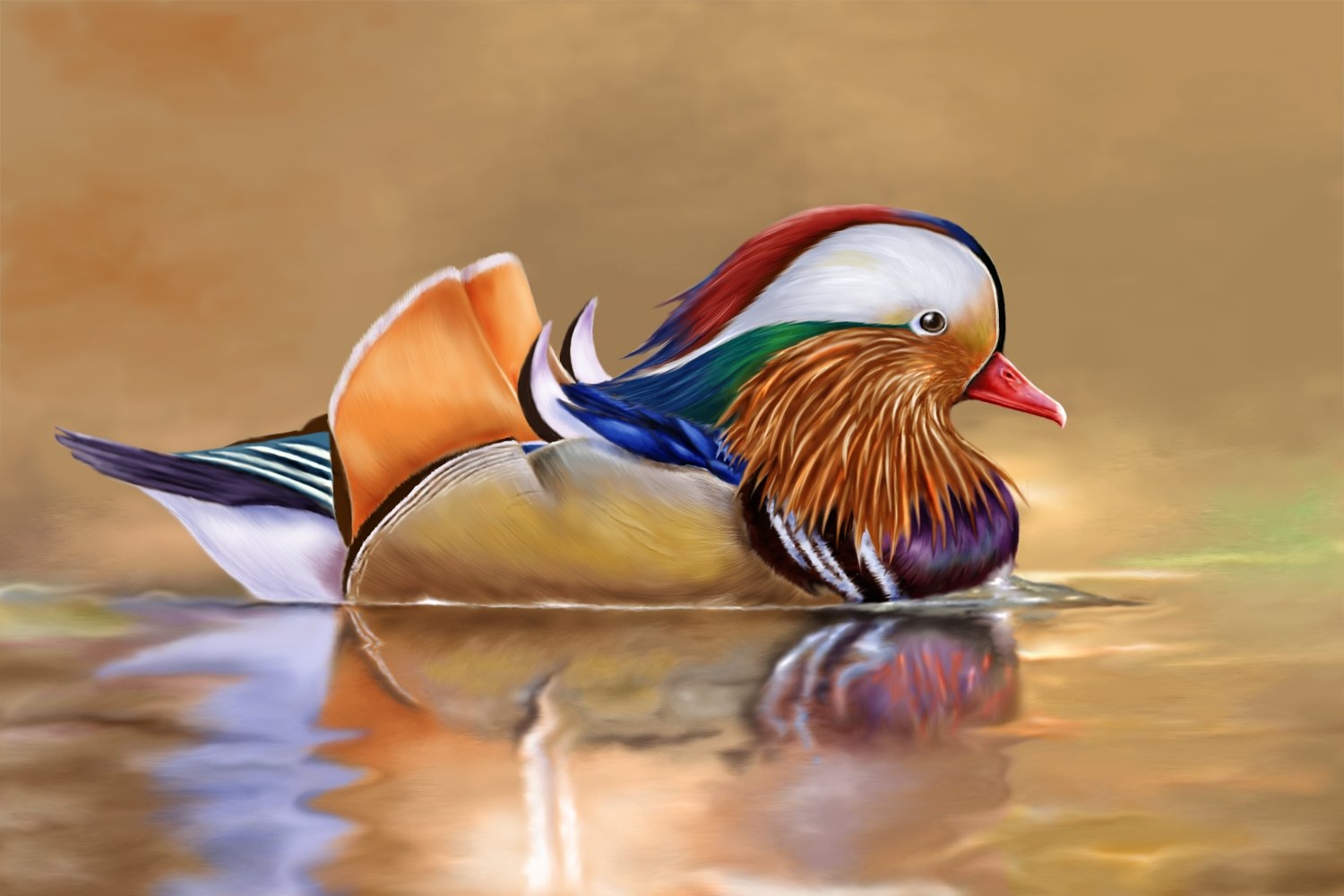 1500x1000 Most viewed Mandarin Duck wallpaperK Wallpaper, Desktop