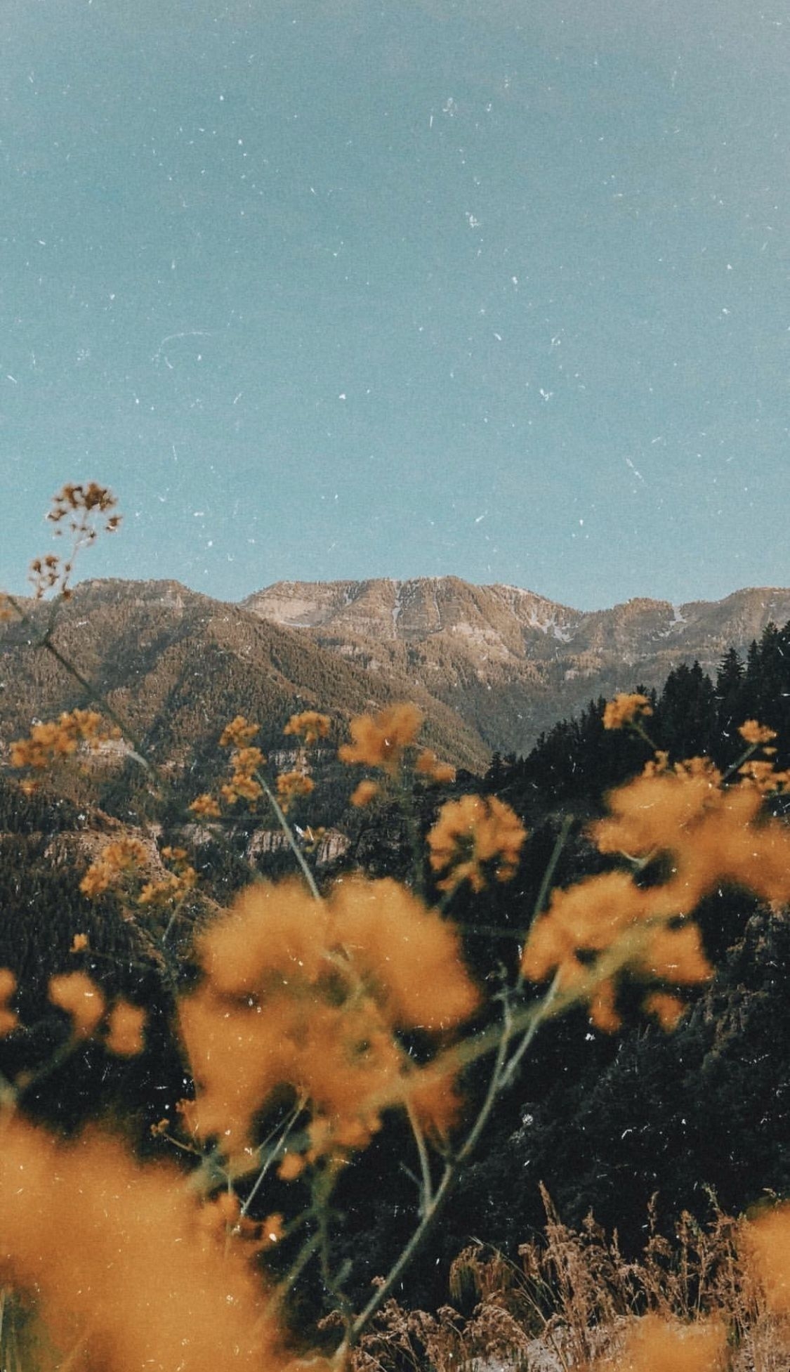 1130x1960 Aesthetic Filter Wallpaper Free Aesthetic Filter, Phone