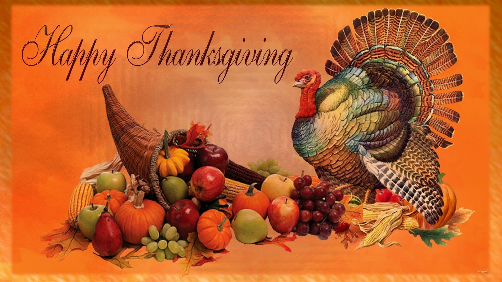 1600x900 Turkey Happy Thanksgiving Wallpaper Free Turkey Happy Thanksgiving Background, Desktop