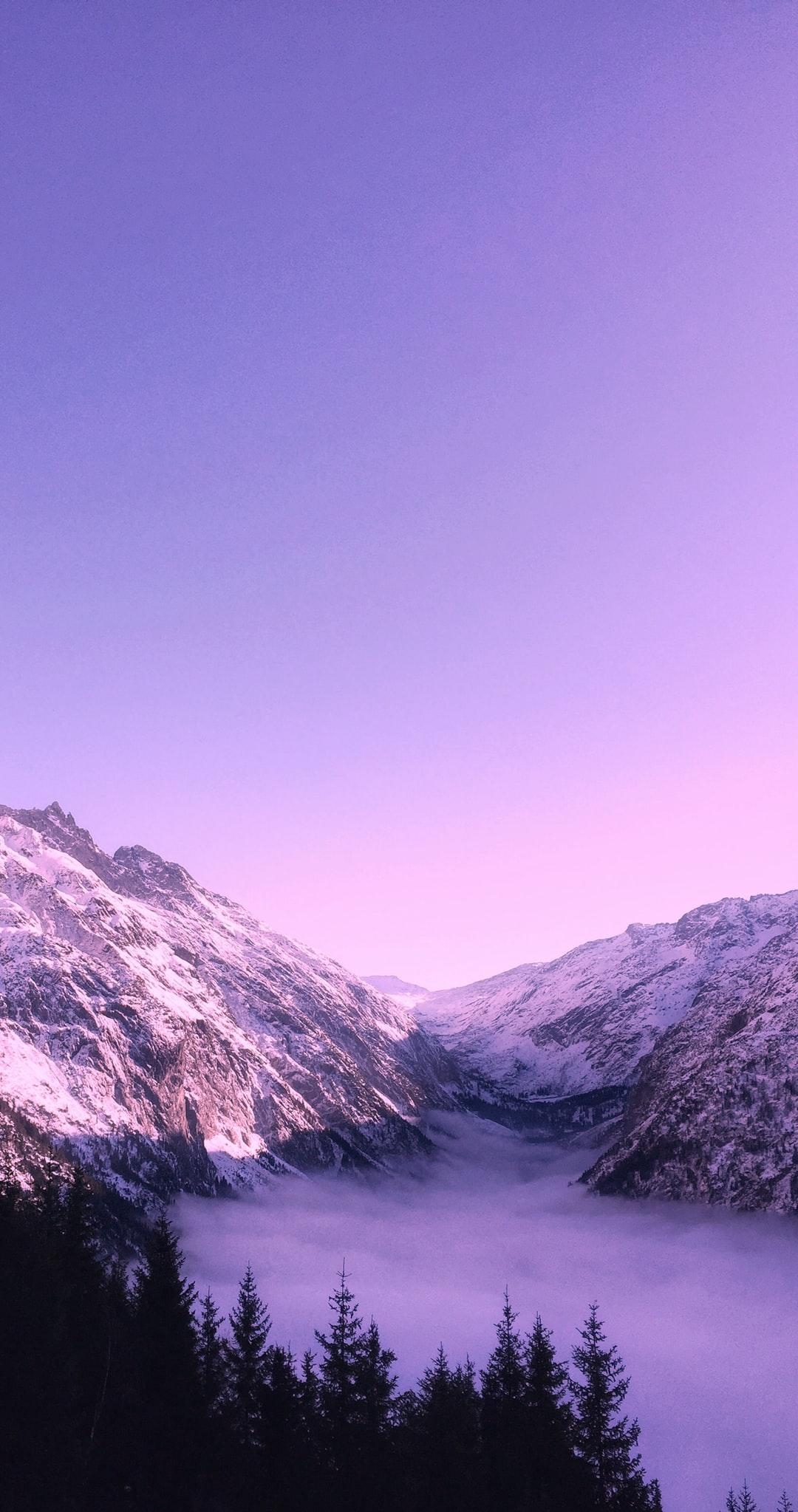 1080x2050 Purple Wallpaper: Free HD Download [HQ], Phone