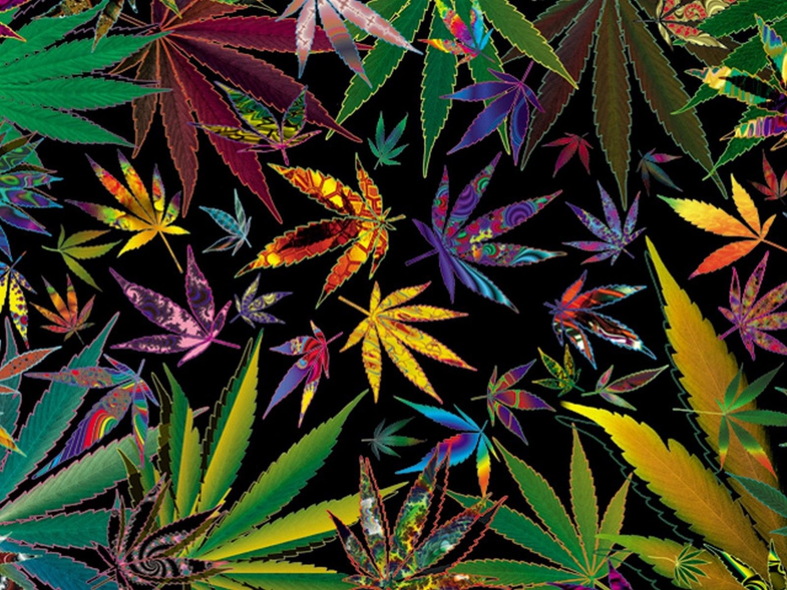 1600x1200 Free download trippy stoner types Trippy Multi Pot Leaves, Desktop