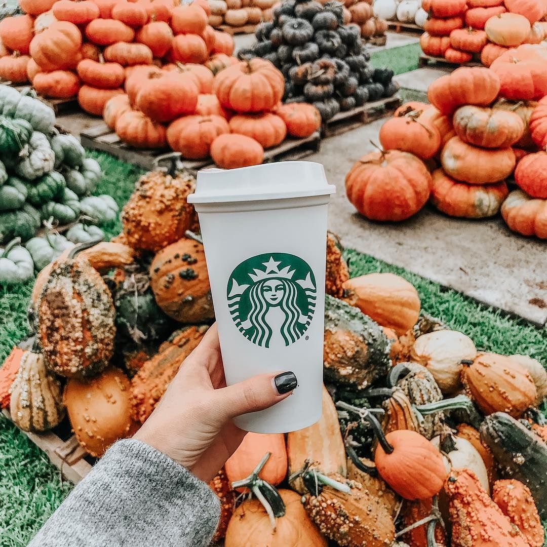 1080x1080 fall aesthetic. Pumpkins & Starbucks. Starbucks fall, Starbucks fall drinks, Autumn coffee, Phone