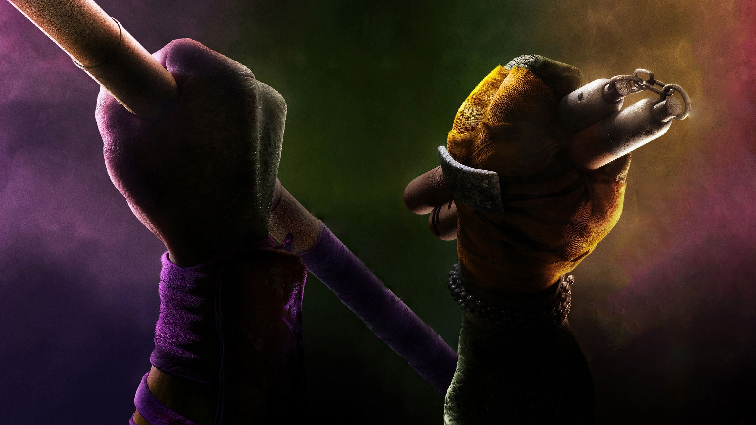 2560x1440 Donatello Michelangelo TMNT 2014 Wallpaper Wallpaper 100906, Desktop