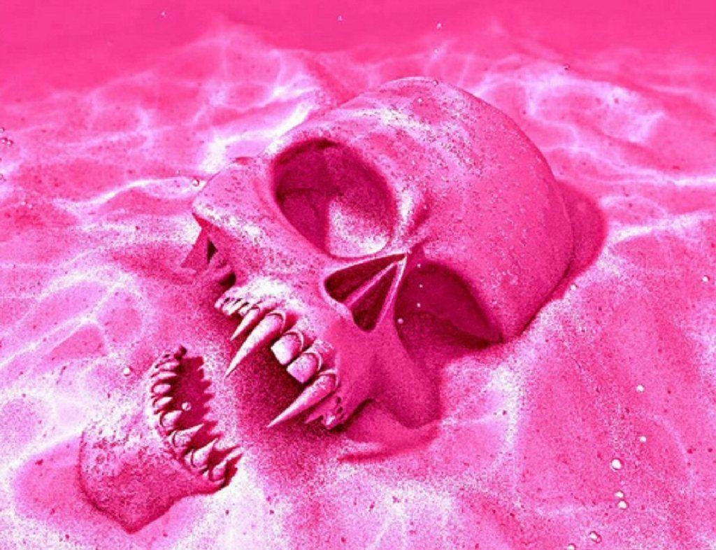 1030x790 Wallpaper For > Pink Skull Wallpaper For Desktop, Desktop