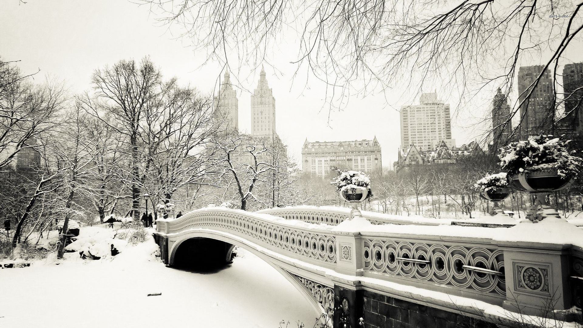 1920x1080 World Winter Snow New York City New York Usa Central York Winter Wallpaper 4k, Desktop