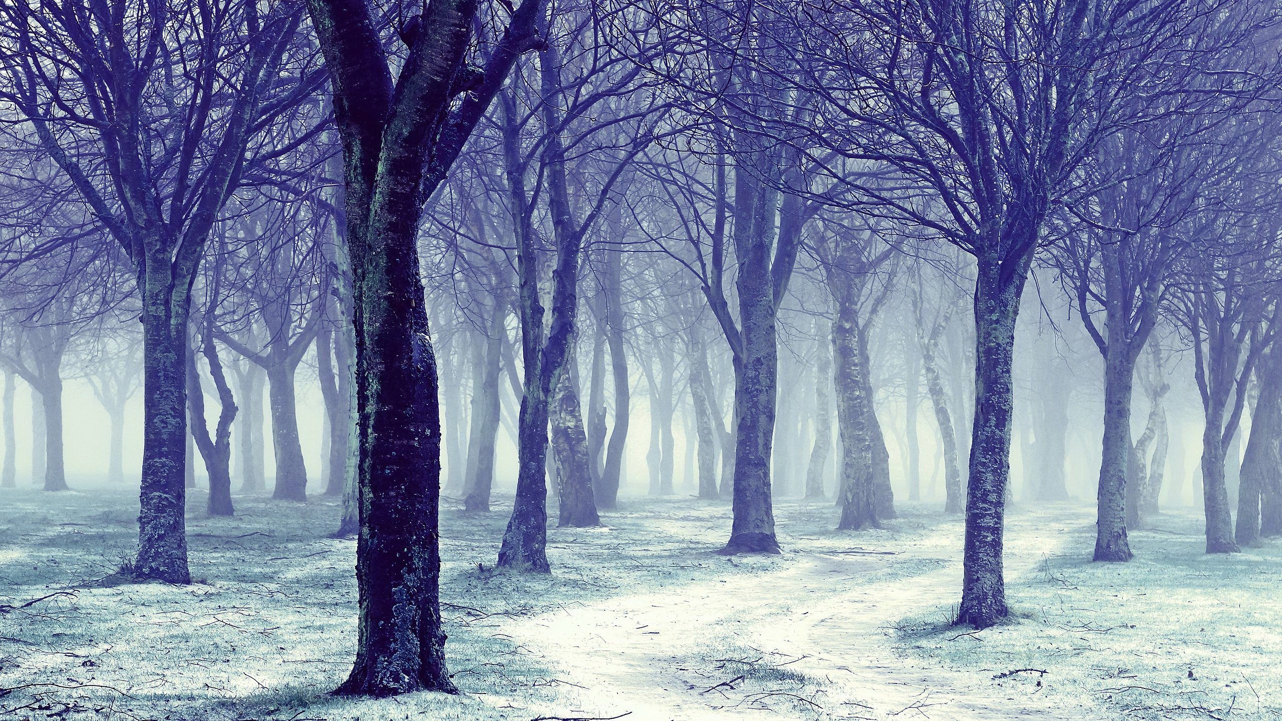 2560x1440 wintertime wallpaper free. Winter wallpaper, Desktop