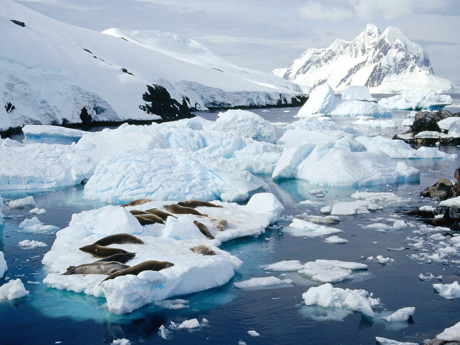 1600x1200 ANTARTICA image Peterman Island Peninsula HD wallpaper, Desktop