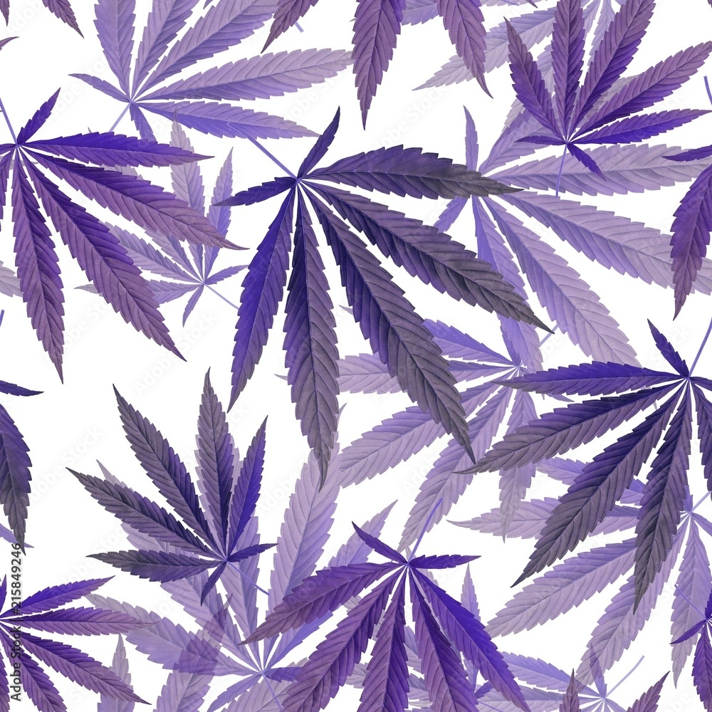 1000x1000 purple leaves on white Background. Seamless pattern with Marijuana, weed, dope. Textile, Wallpaper concept Stock Illustration, Phone