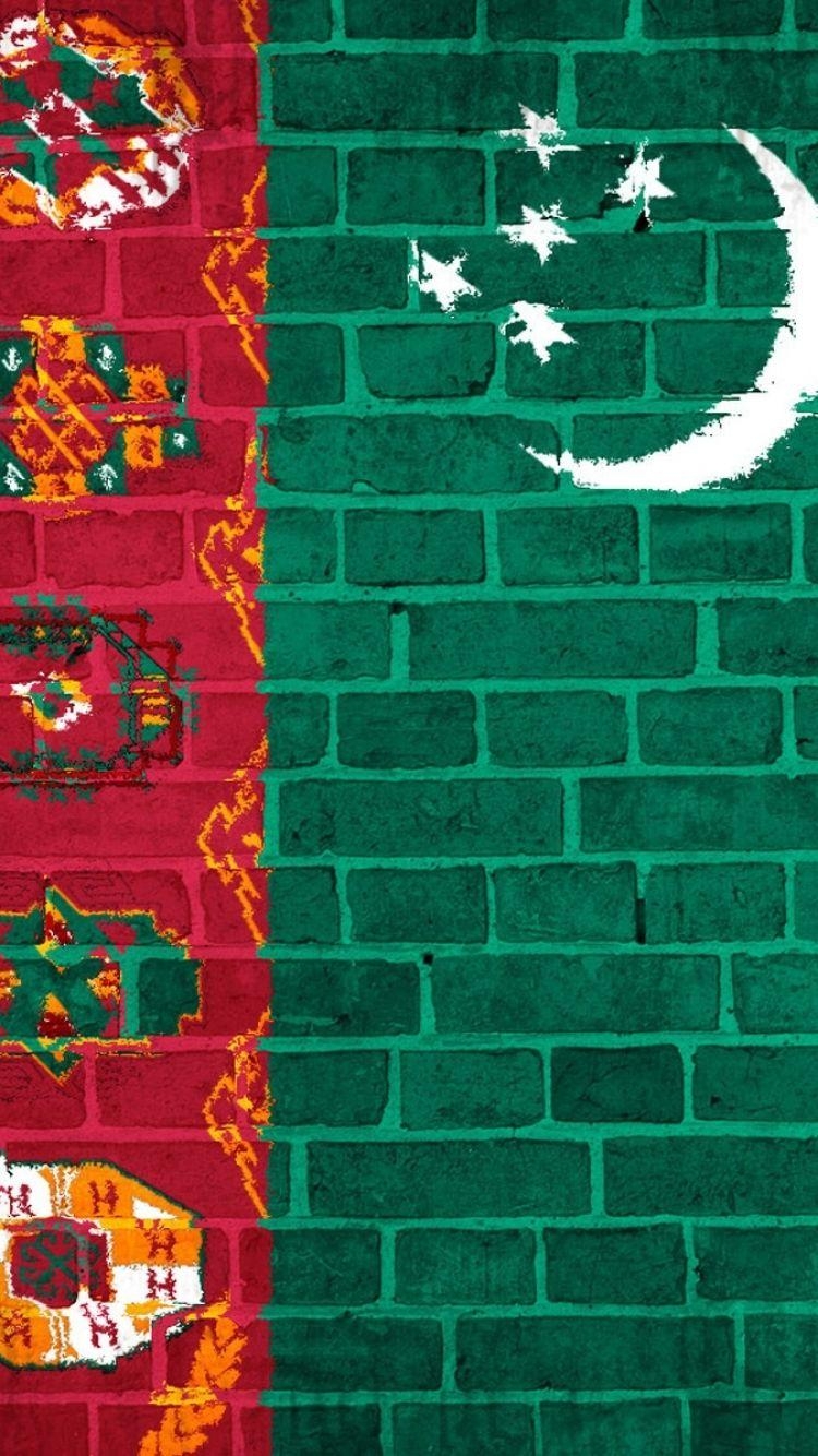 750x1340 Download Wallpaper  Turkmenistan, Flag, Wall, Texture, Phone