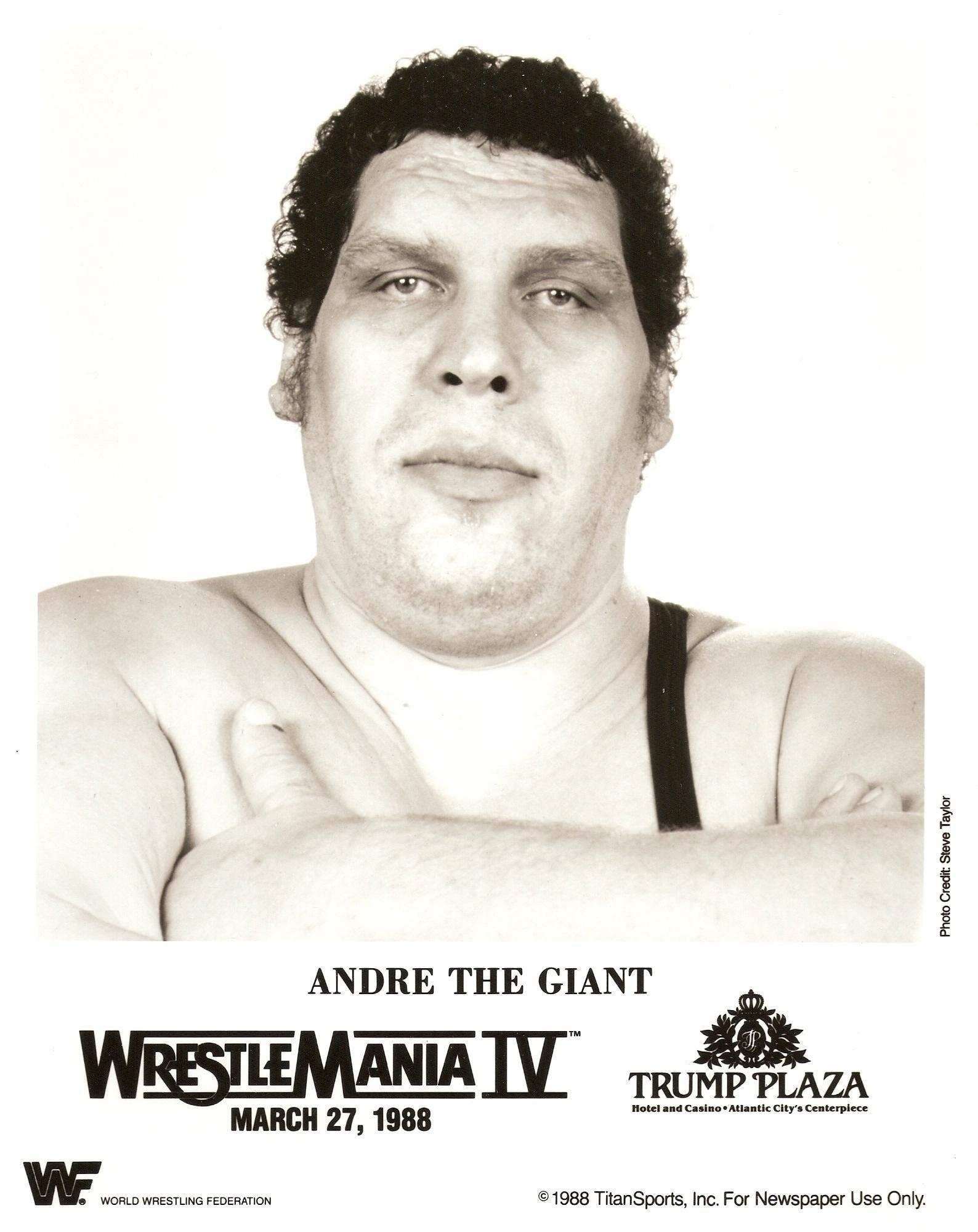1590x2000 Photo 7 Of WWF Un Numbered 8x10 Promo Photo, Phone