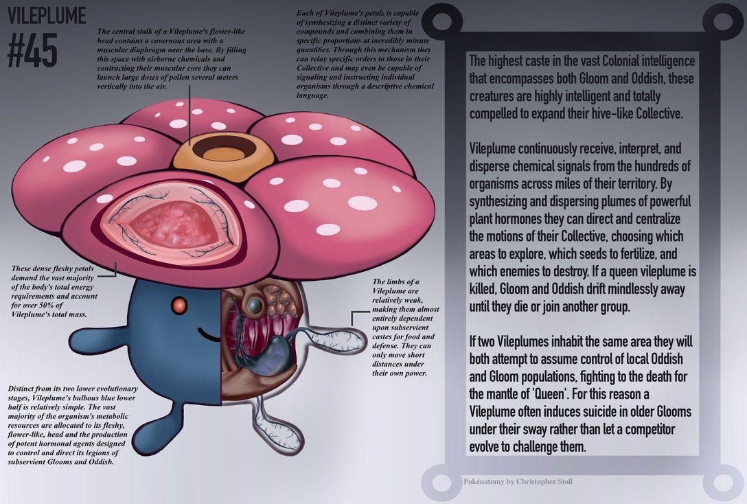 1090x740 Vileplume Anatomy Pokedex Entry By Christopher Stoll, Desktop