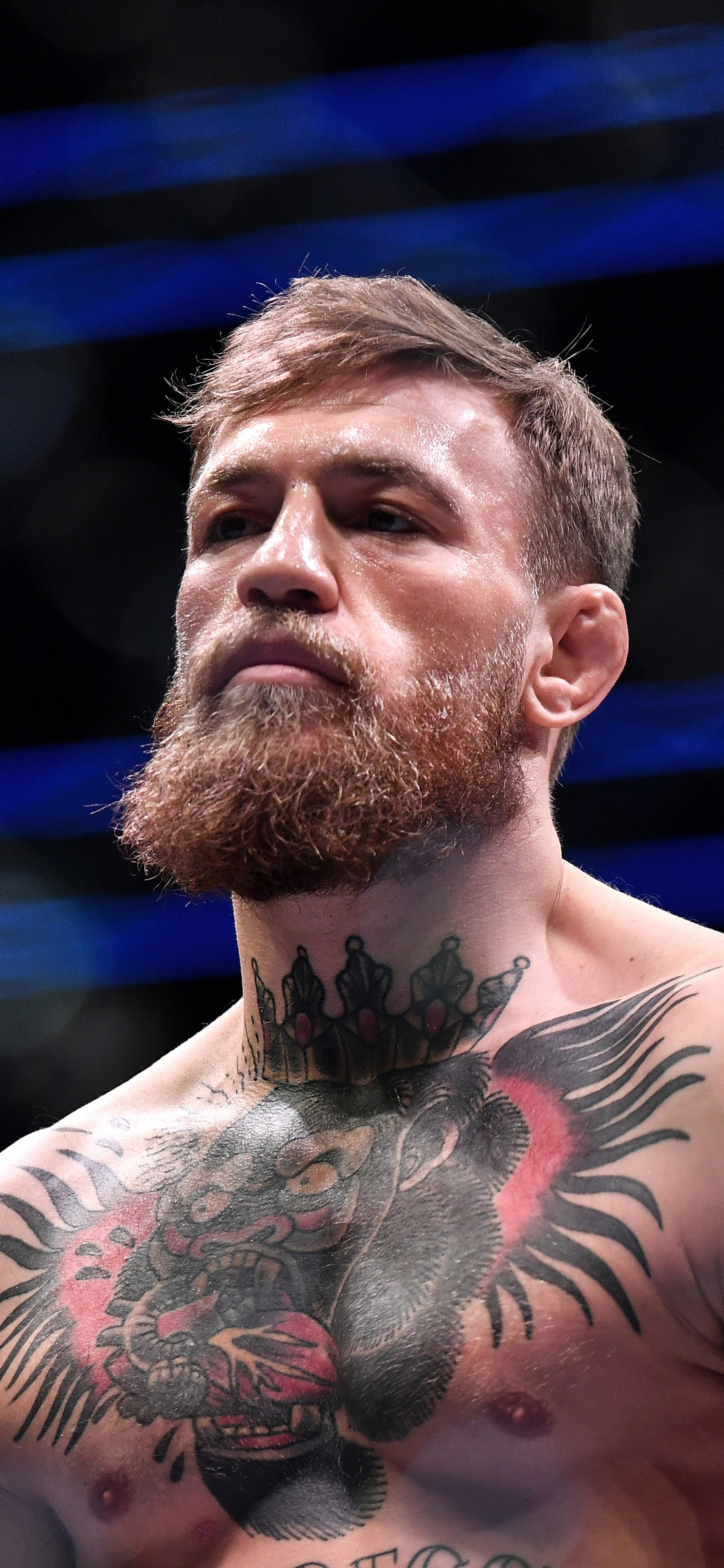 1130x2440 Conor McGregor 5k iPhone XS, Phone