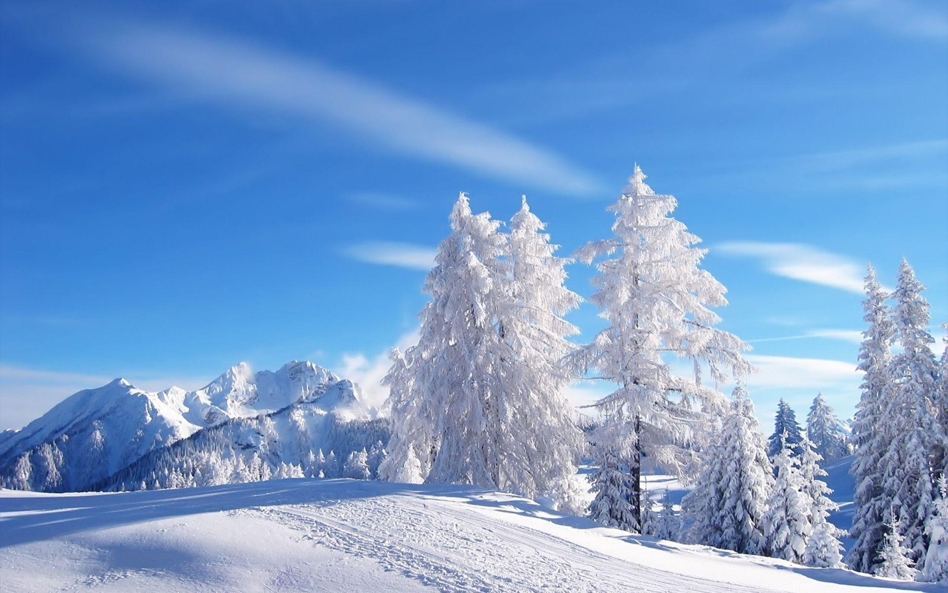 1920x1200 Winter Wonderland Wallpaper Free Winter Wonderland Background, Desktop