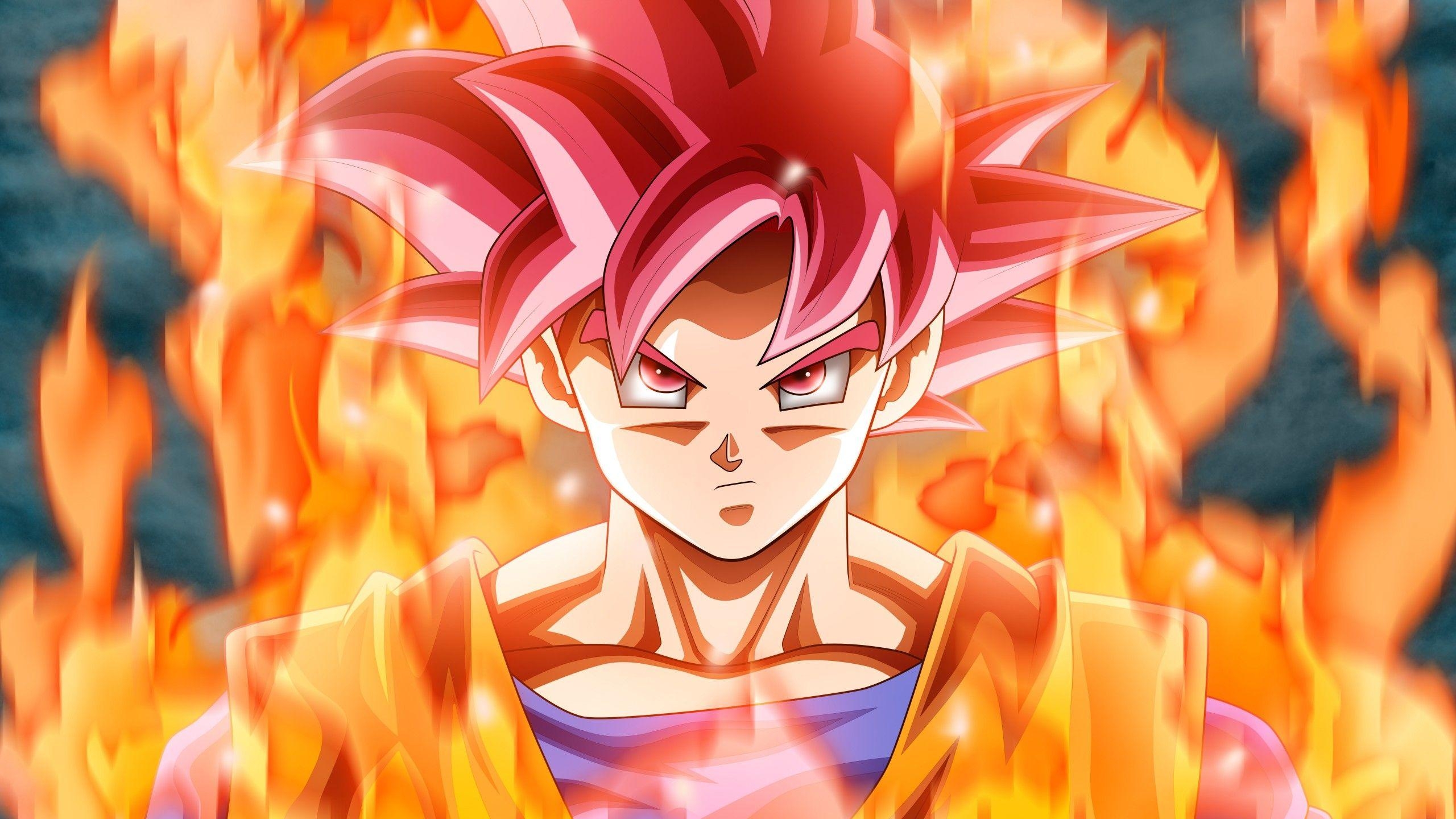 2560x1440 Wallpaper Goku, Dragon Ball Super, 4K, 8K, Anime, Desktop