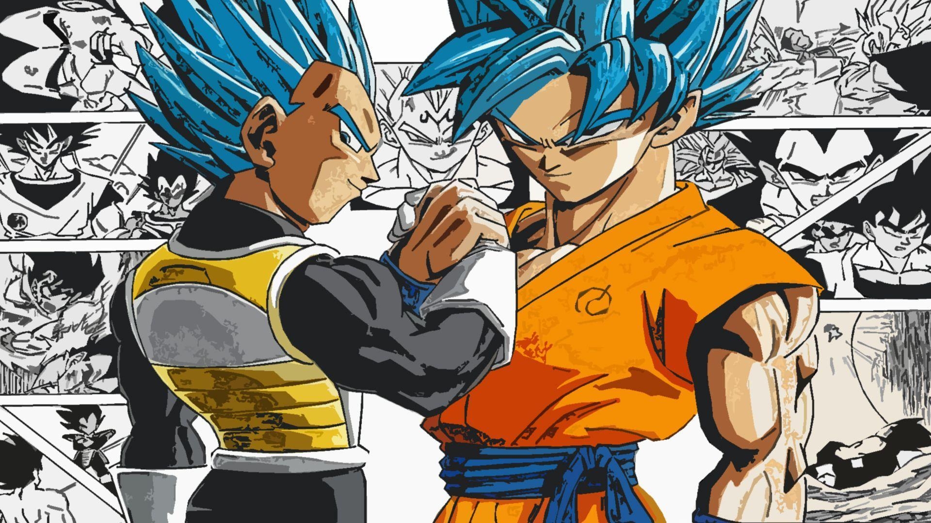 1920x1080 Super Saiyan Blue Goku and Vegeta HD Wallpaper From Gallsource.com, Desktop