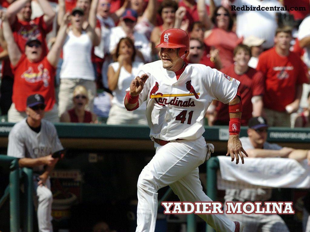 1030x770 RedbirdCentral.com. Louis Cardinals Wallpaper Molina 1, Desktop