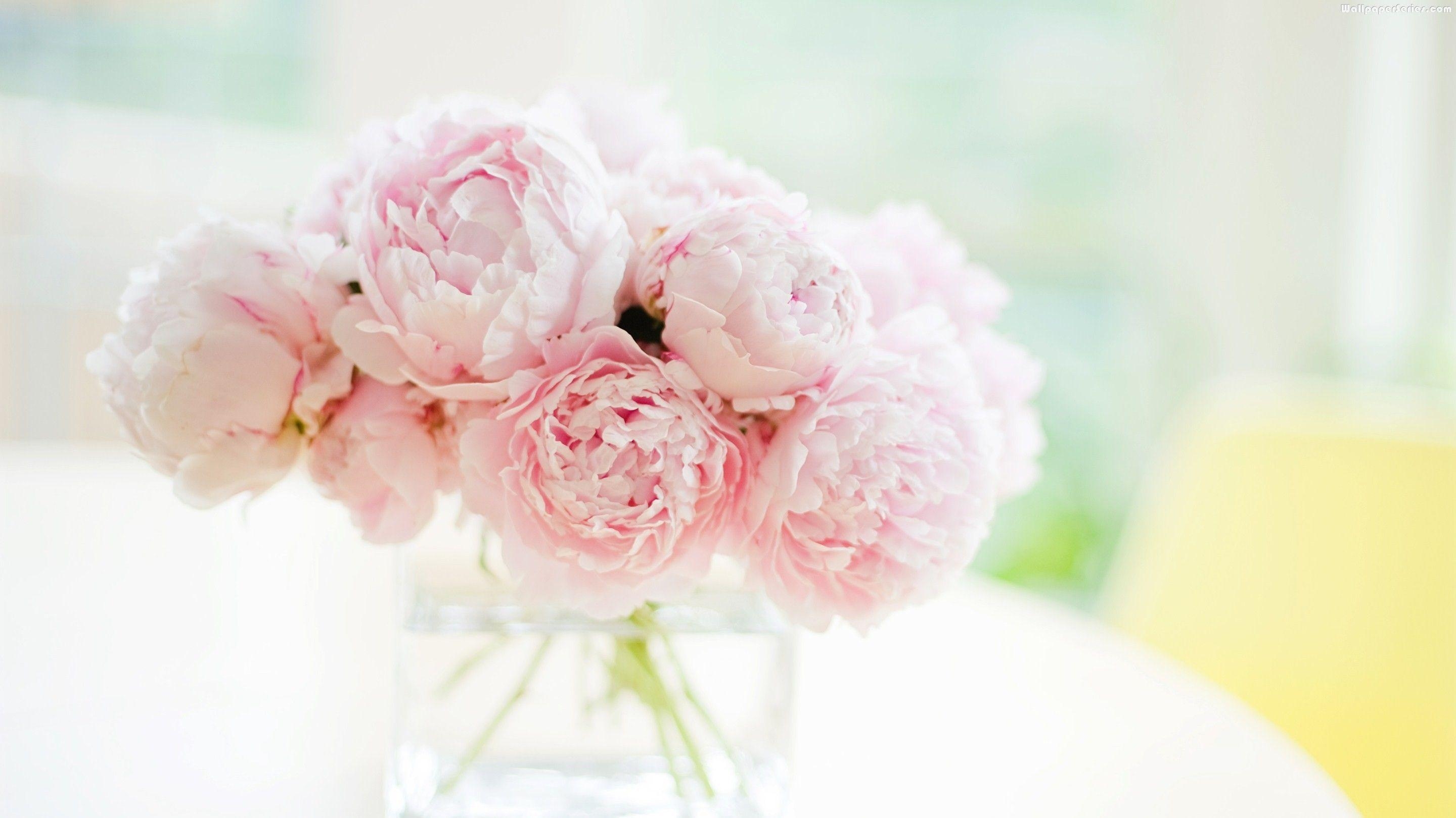 2880x1620 peonies bouquet wallpaper 7361. flowers. Peonies, Desktop