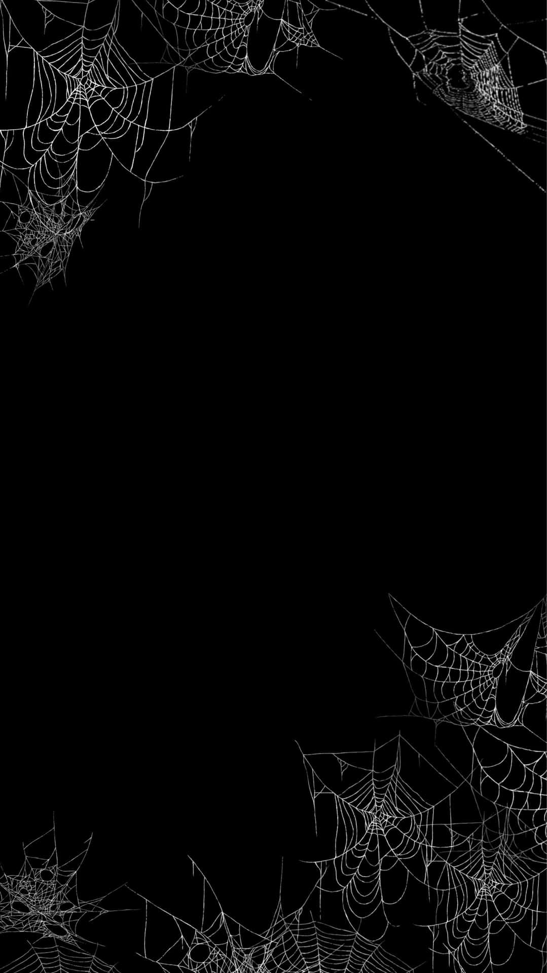 1080x1920 Download White Spider Webs Gothic iPhone Wallpaper, Phone