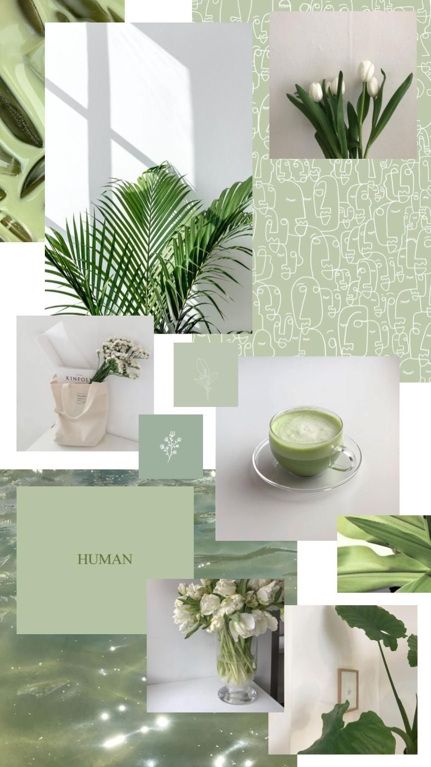 870x1540 white // green wallpaper. iPhone wallpaper green, iPhone wallpaper plants, Sage green wallpaper, Phone