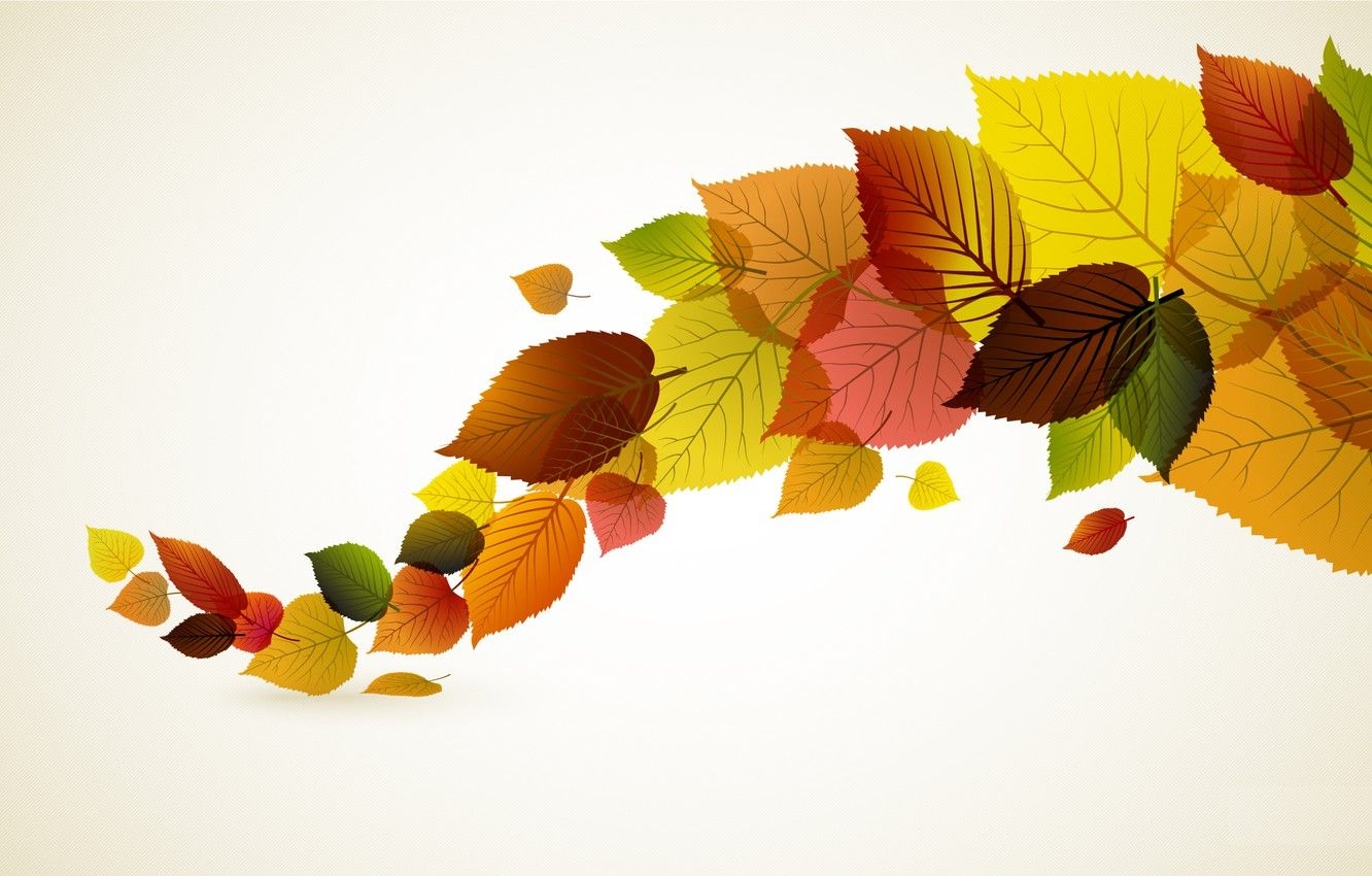 1340x850 Wallpaper autumn, leaves, minimalism, vector image for desktop, section минимализм, Desktop