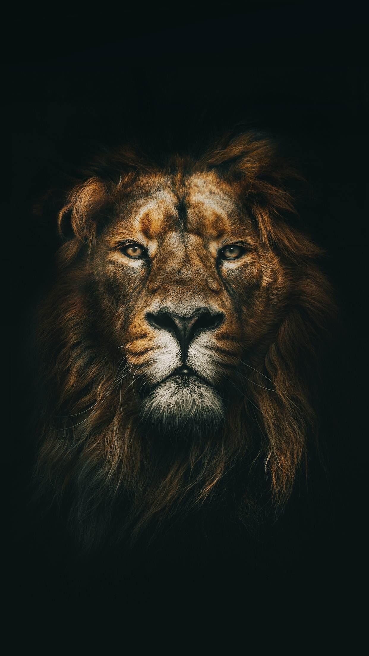 1250x2210 Cool iPhone Lion Wallpaper HD, Phone