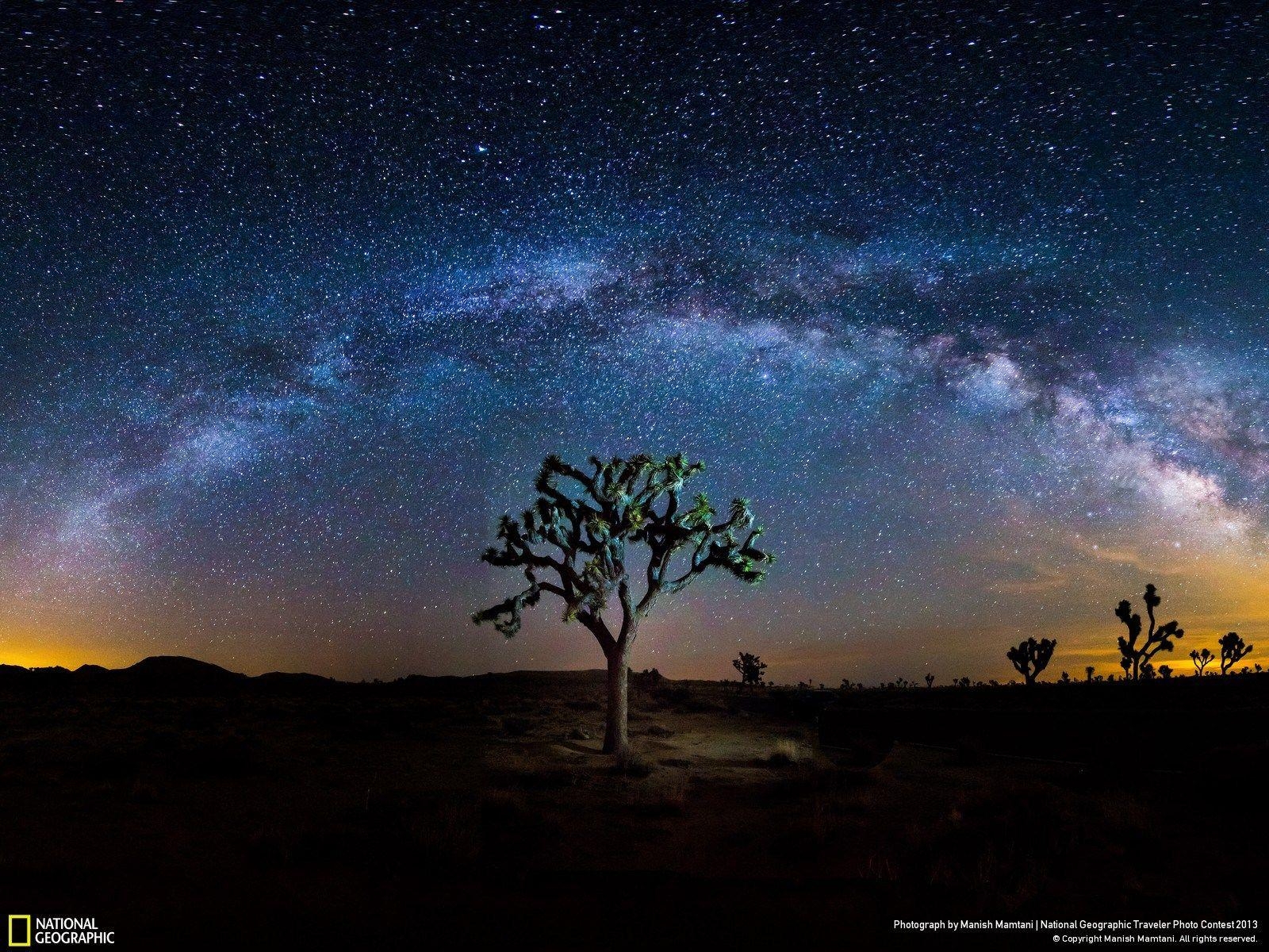 1600x1200 Joshua Tree: 28 Stunning Photo From America's Most Buzzed About, Desktop