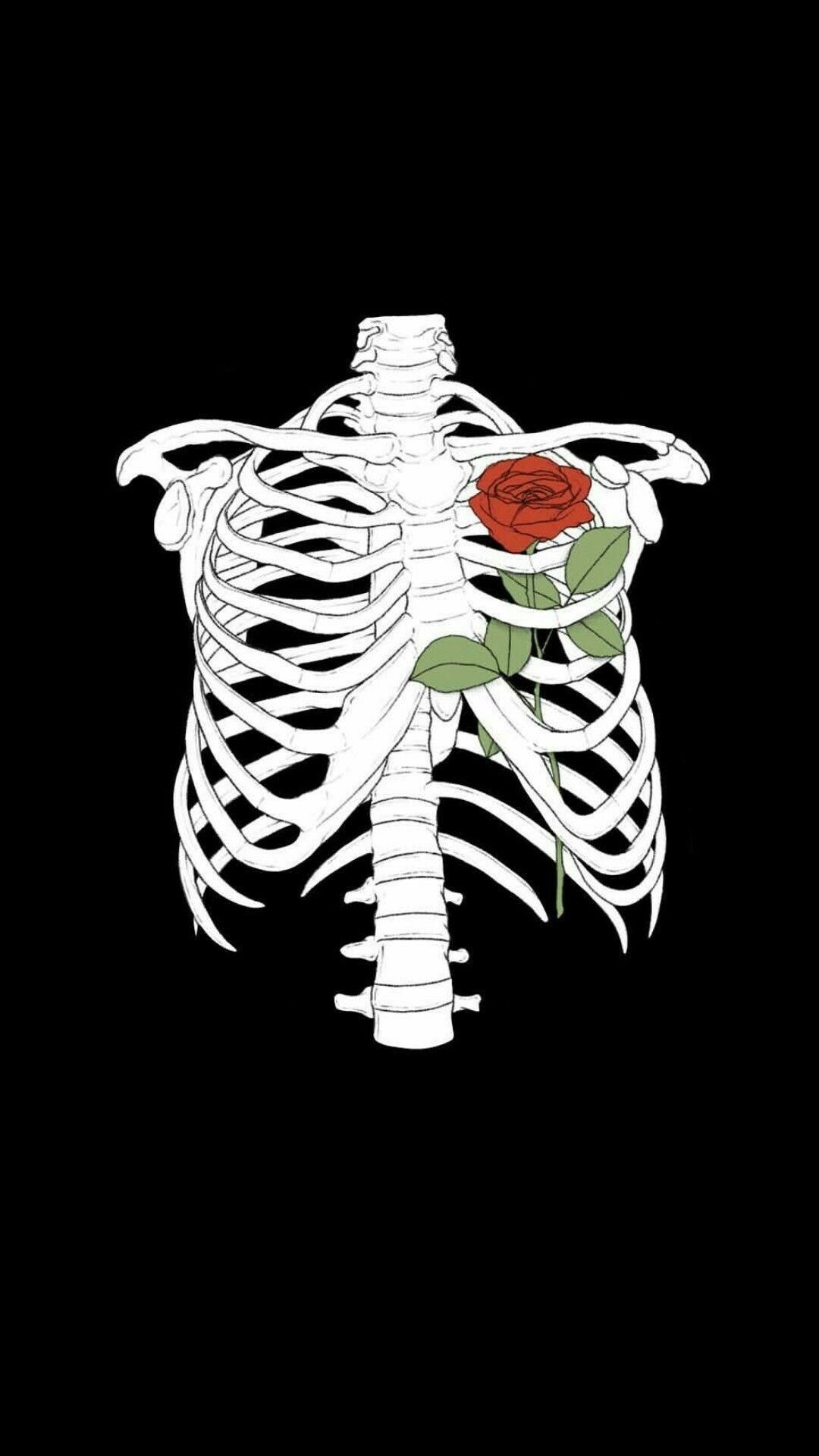 1080x1920 Aesthetic Skeleton Wallpaper iPhone, Phone