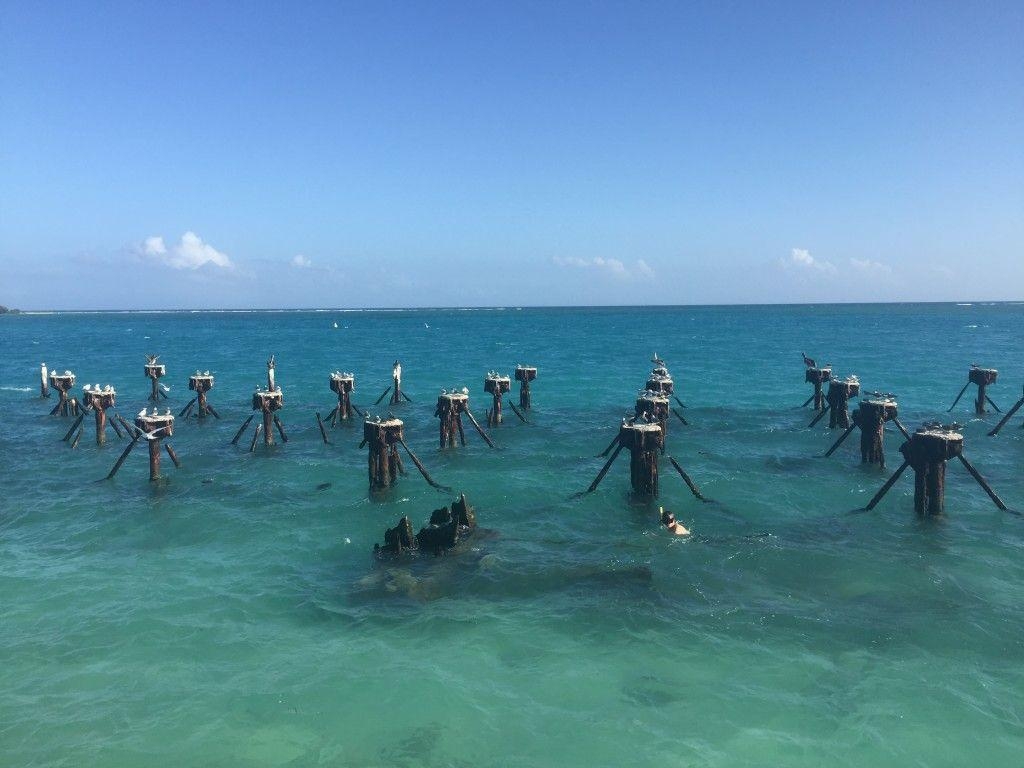 1030x770 Dry Tortugas National Park, FL, Desktop