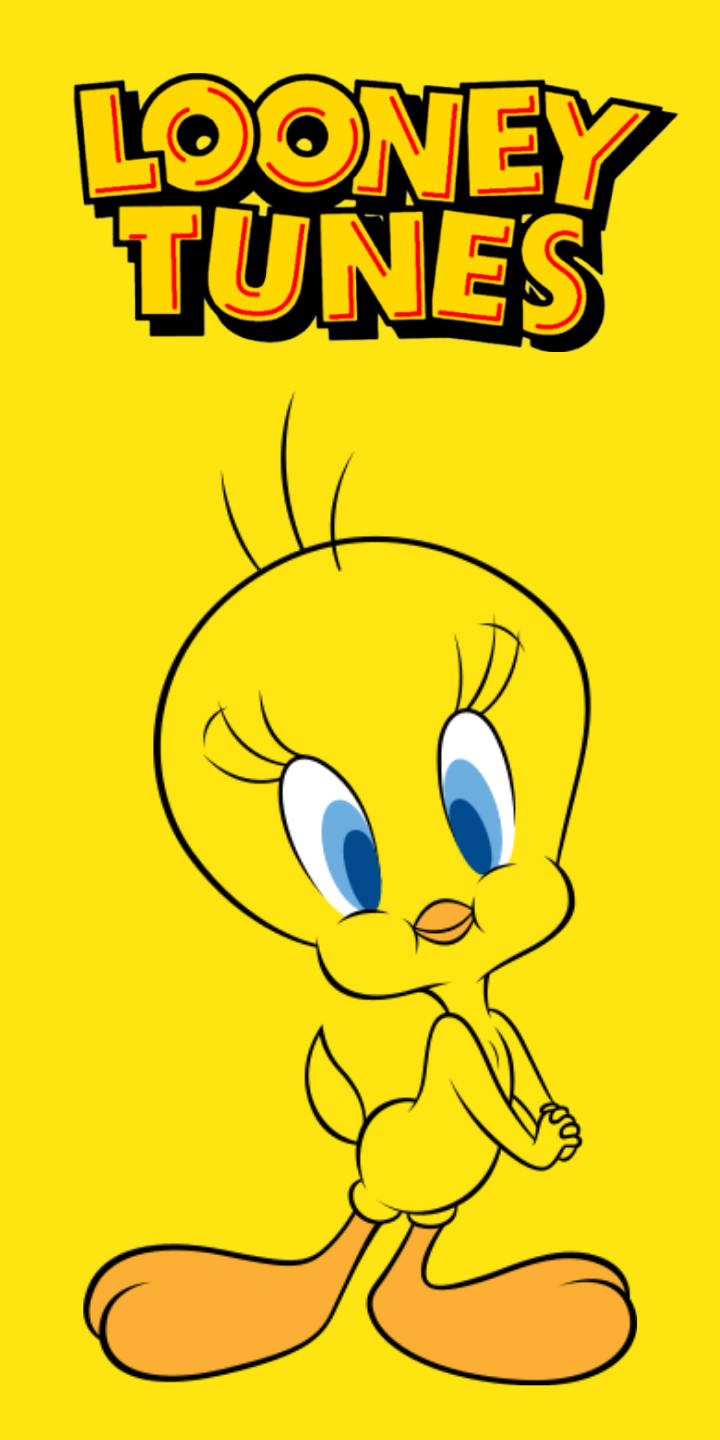 720x1440 Download Looney Tunes Tweety Bird Wallpaper, Phone