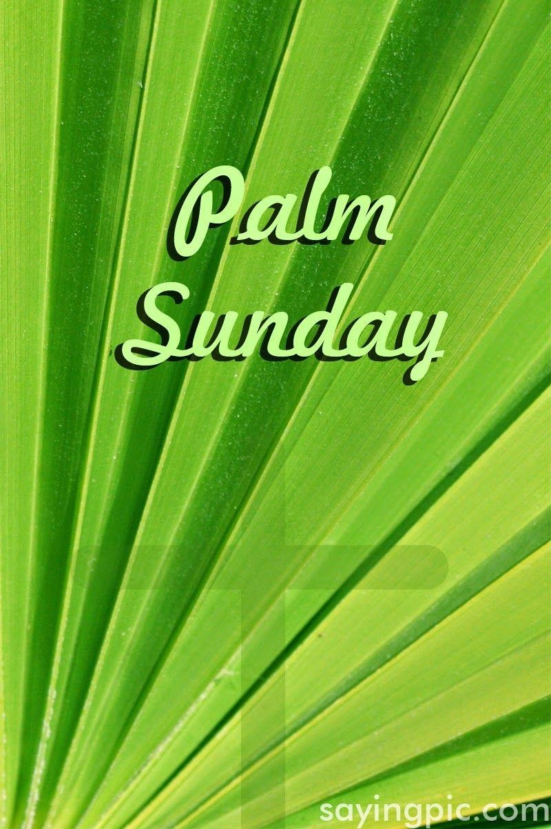 800x1210 Palm Sunday: Quotes, image and wallpaper for Celebration of Palm, Phone