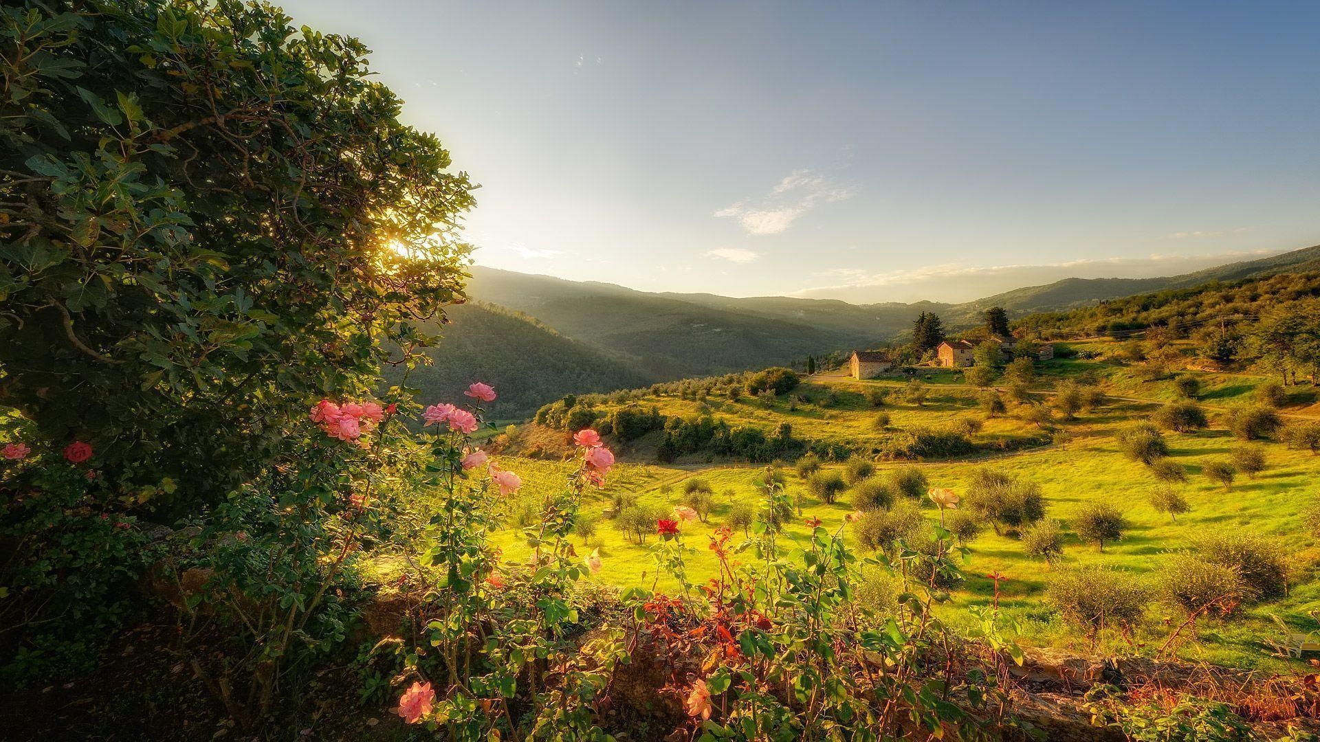 1920x1080 Download Free Tuscany Wallpaper 30316  px High Resolution, Desktop