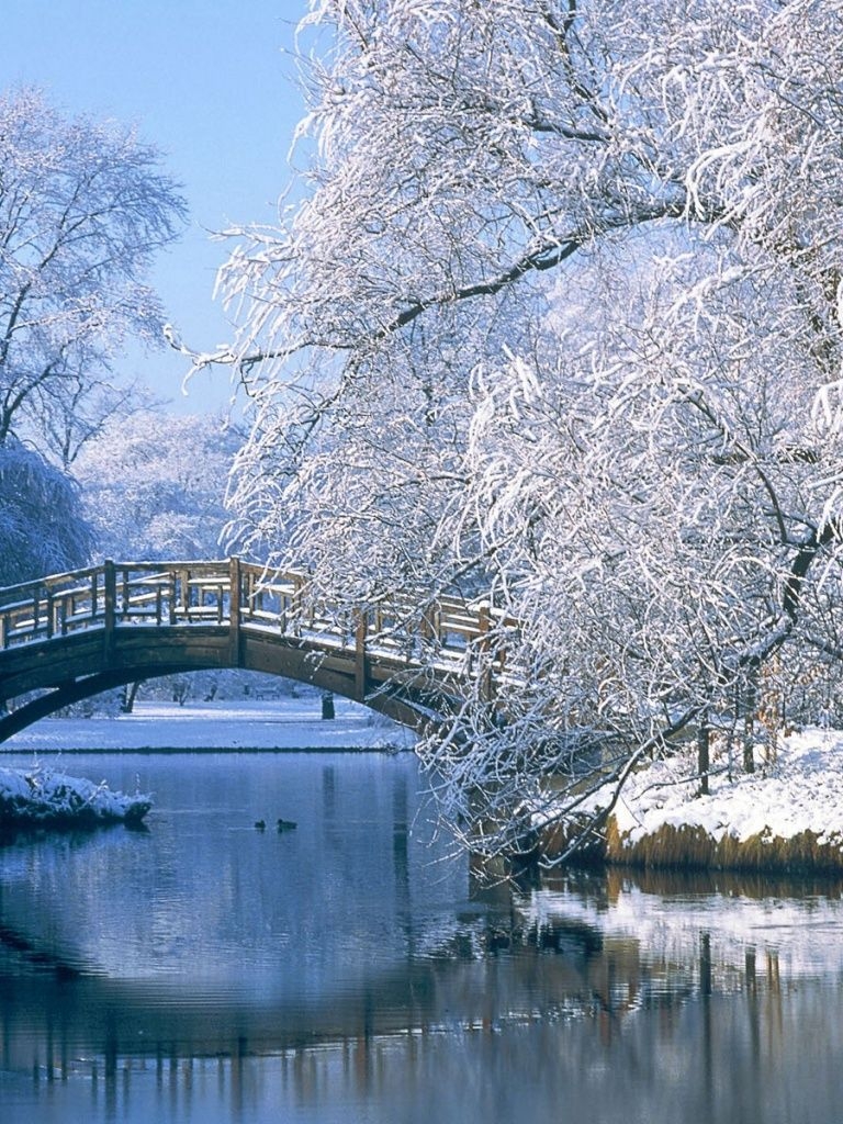 770x1030 Winter Wallpaper iPad, Phone