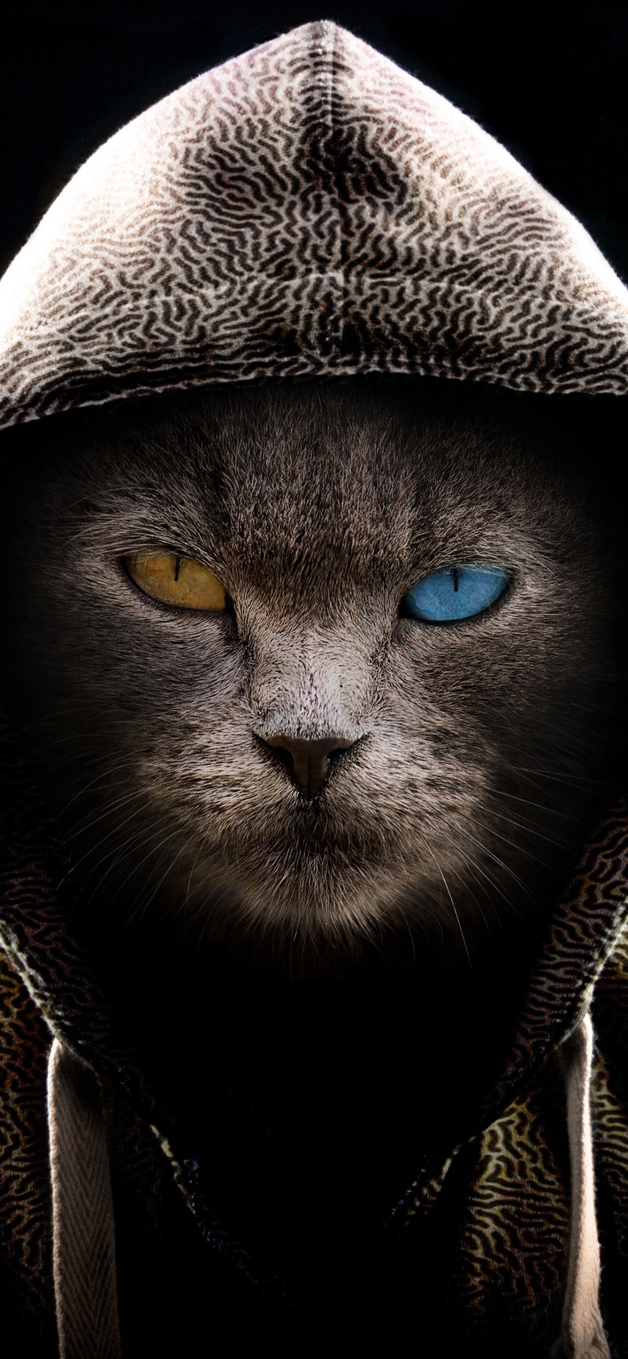 1290x2780 Scary Cat Wallpaper 4K, Hoodie, Animal Portrait, Phone