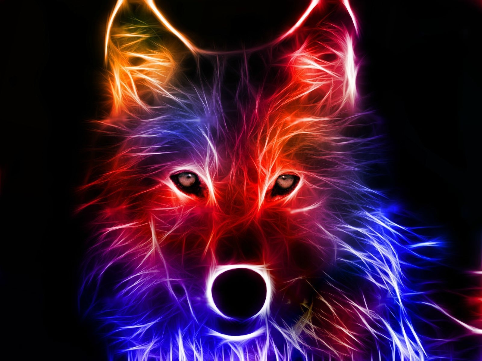 1600x1200 Colorful fox HD 3D wallpaper image. Free wide wallpaper download. Free Desktop BackgroundFree Desktop Backgr. Wolf wallpaper, Animal wallpaper, Wolf picture, Desktop