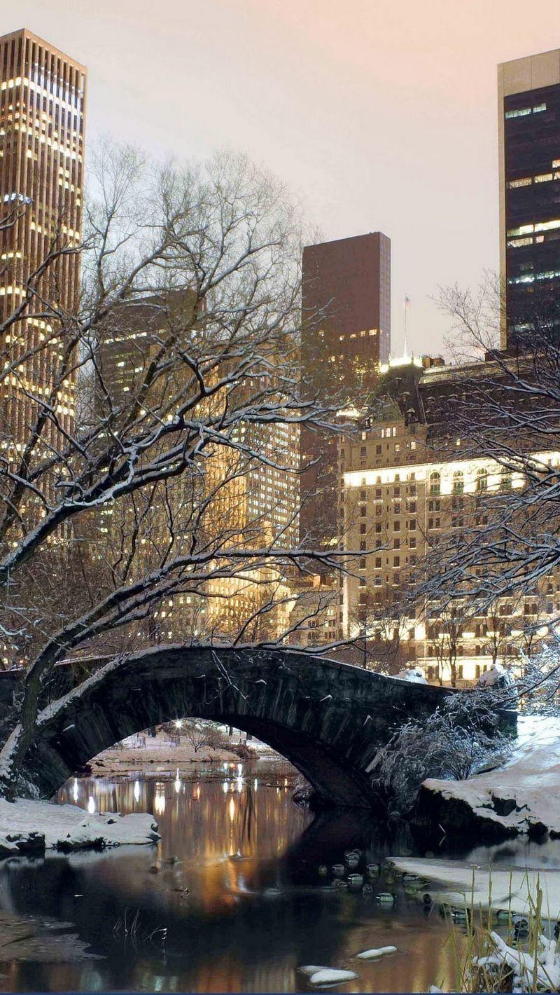 800x1420 Download wallpaper  winter, park, america, bridge, new york, Phone