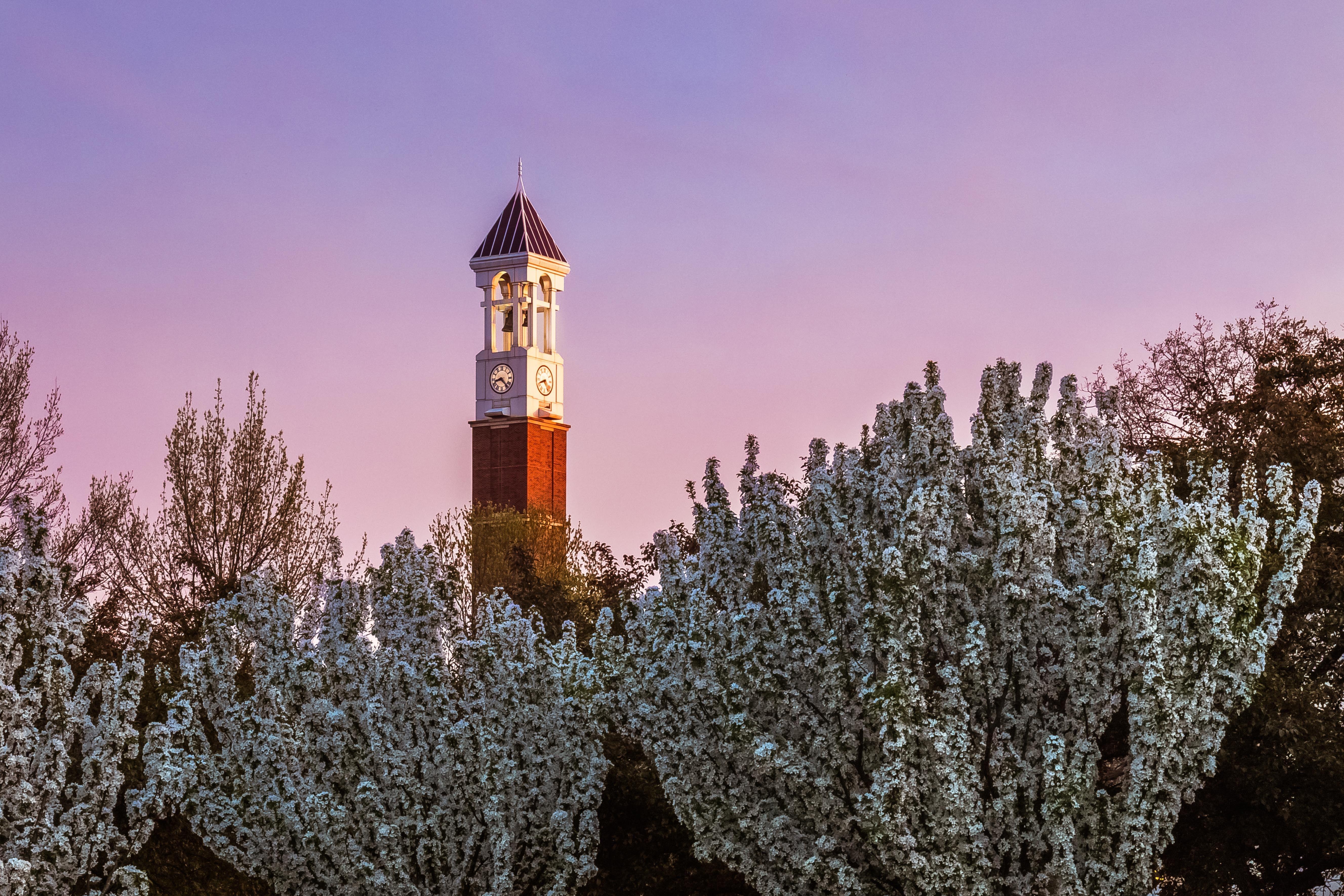 5310x3540 Purdue Wallpaper, Desktop