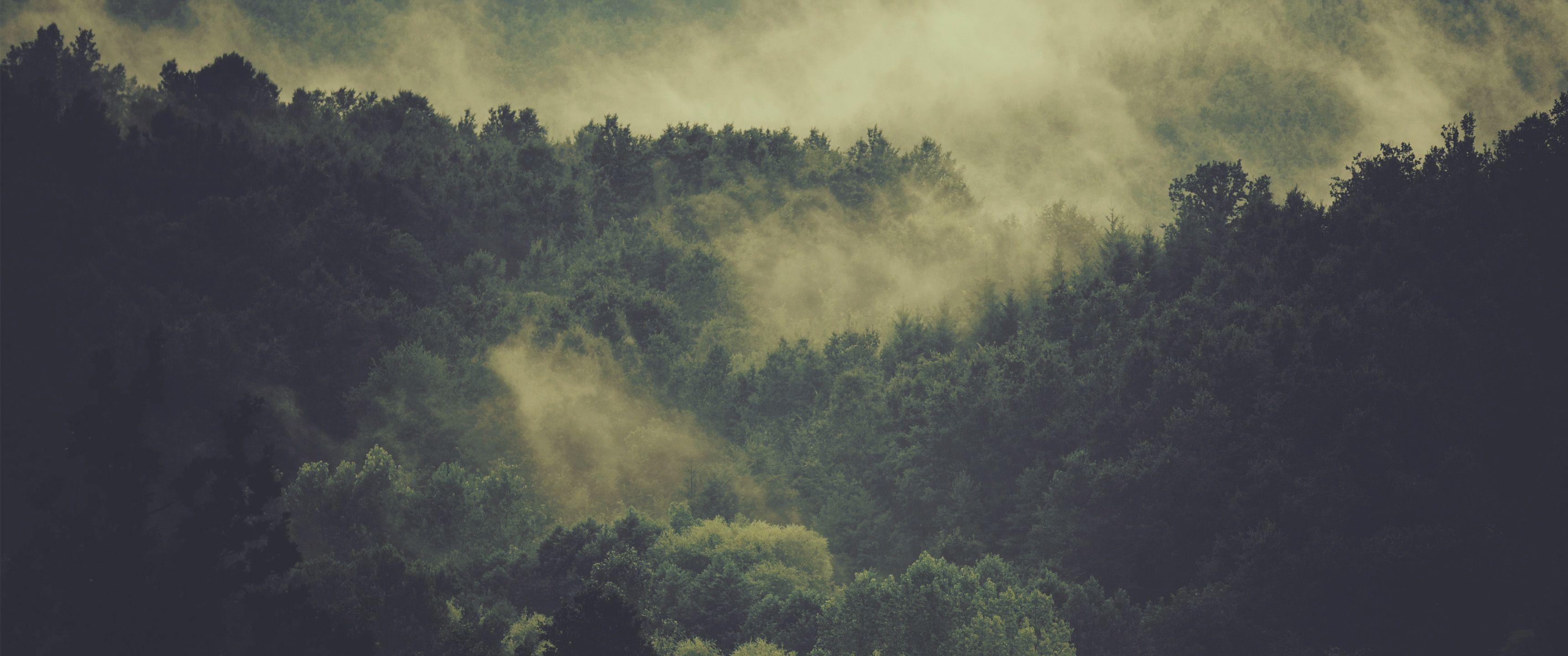 3440x1440 Wallpaper That Will Look Stunning On Your Ultrawide Display, Dual Screen