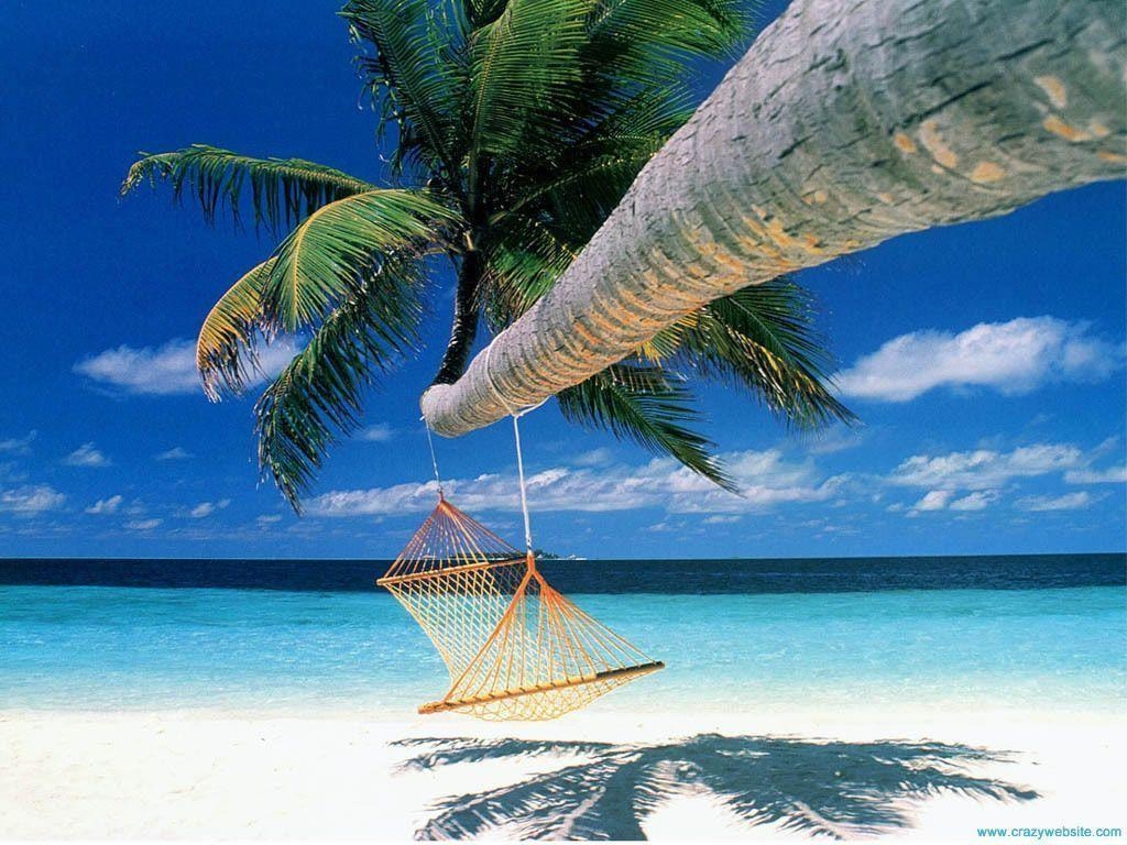 1030x770 Tropical Island Beach Hammock Wallpaper Desktop, Desktop