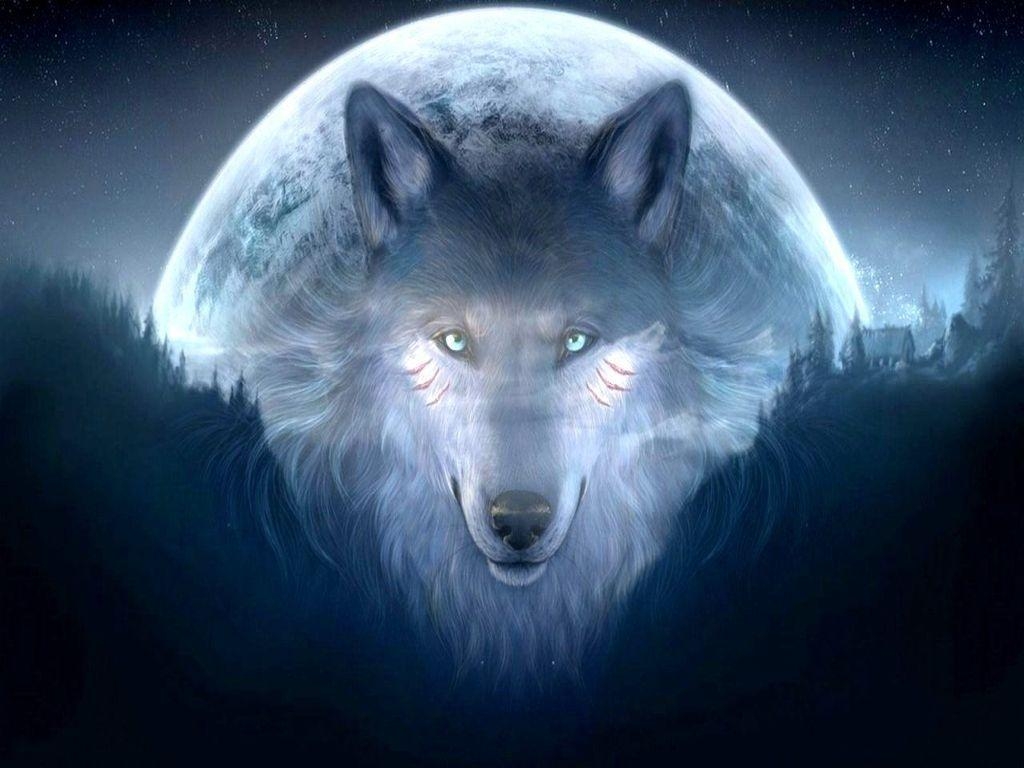 1030x770 blue wolf wallpaper Collection, Desktop