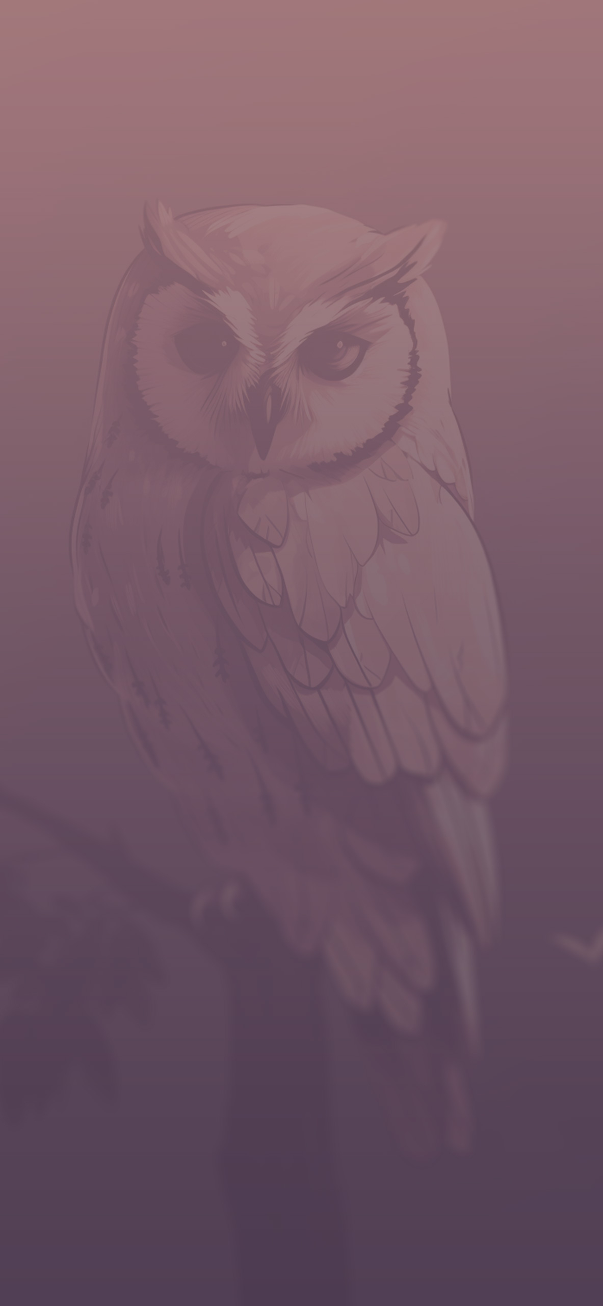 1190x2560 Owl Sitting on Branch Wallpaper Owl Wallpaper iPhone, Phone