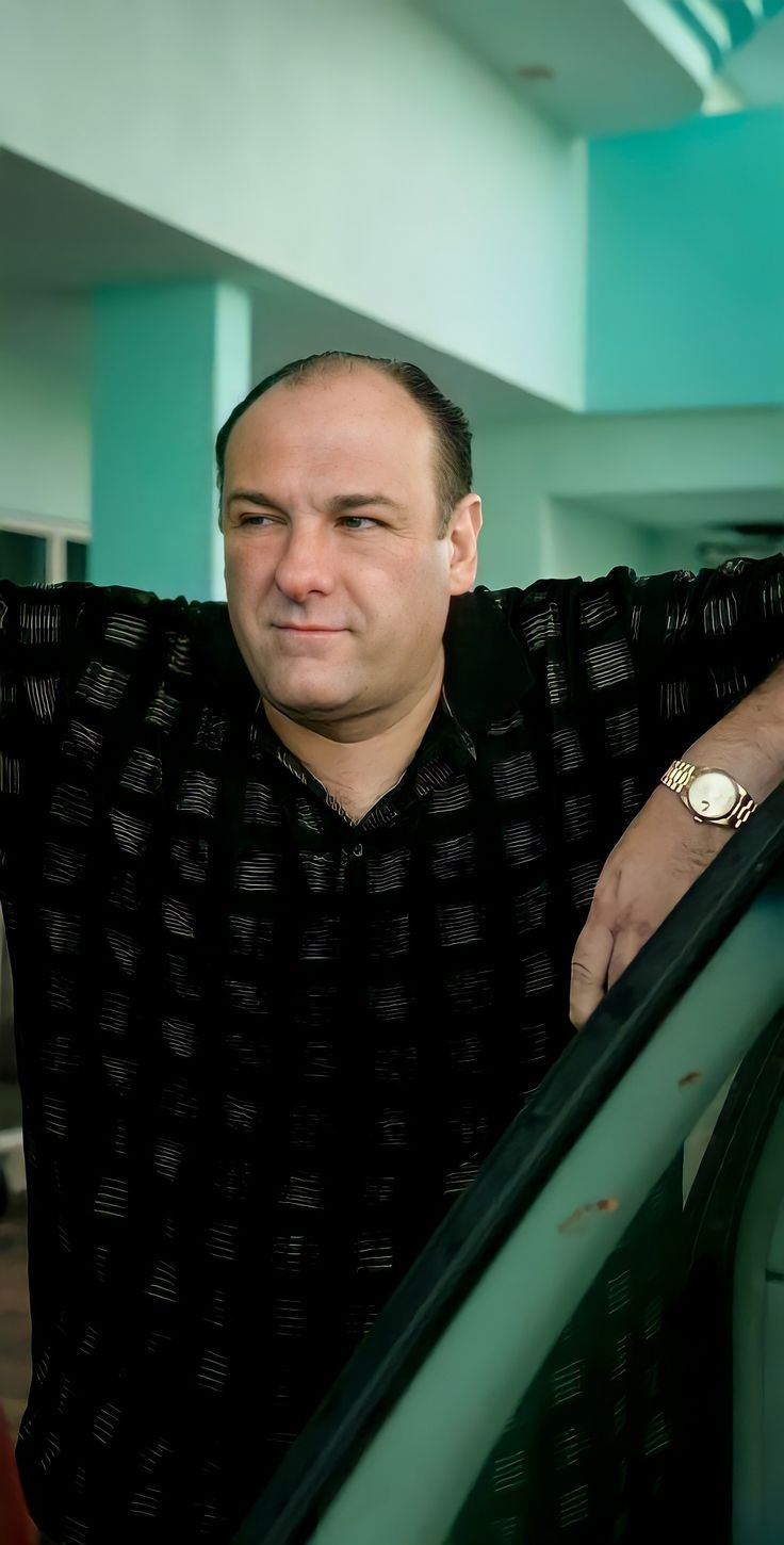 740x1450 TONY SOPRANO THE SOPRANOS WALLPAPER. Tony soprano, Sopranos, Gentleman movie, Phone