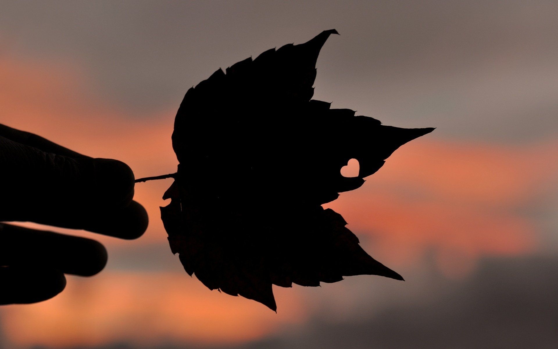 1920x1200 Dark leaf heart wide bokeh wallpaperx1200, Desktop