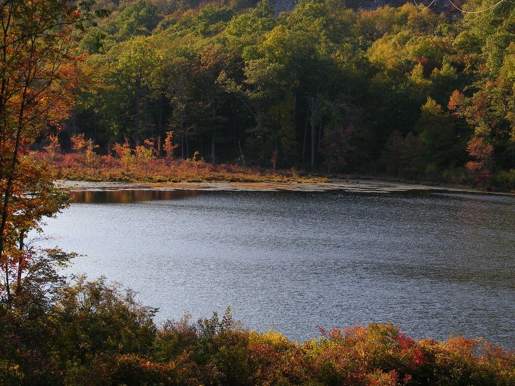 1030x770 Camp Lake Wallpaper. Tramp Scamp Lady, Desktop