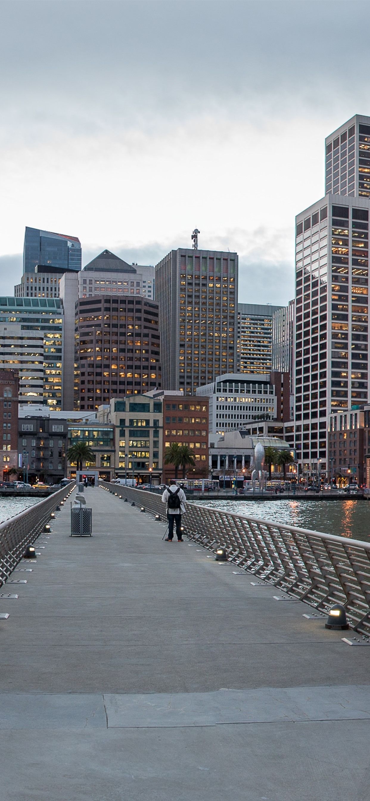 1250x2690 San Francisco, California, USA, skyscrapers, bridge, sea, city, Phone