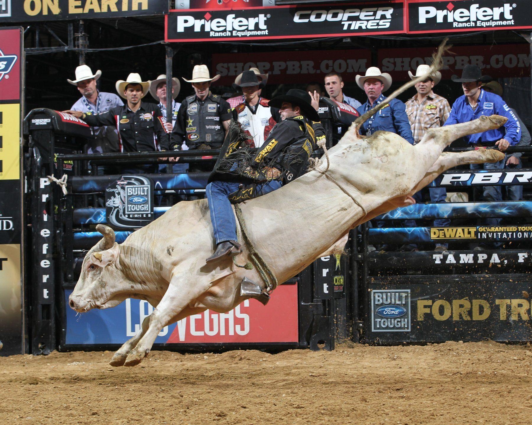 1800x1440 Bull Riding Wallpaper HD, Desktop