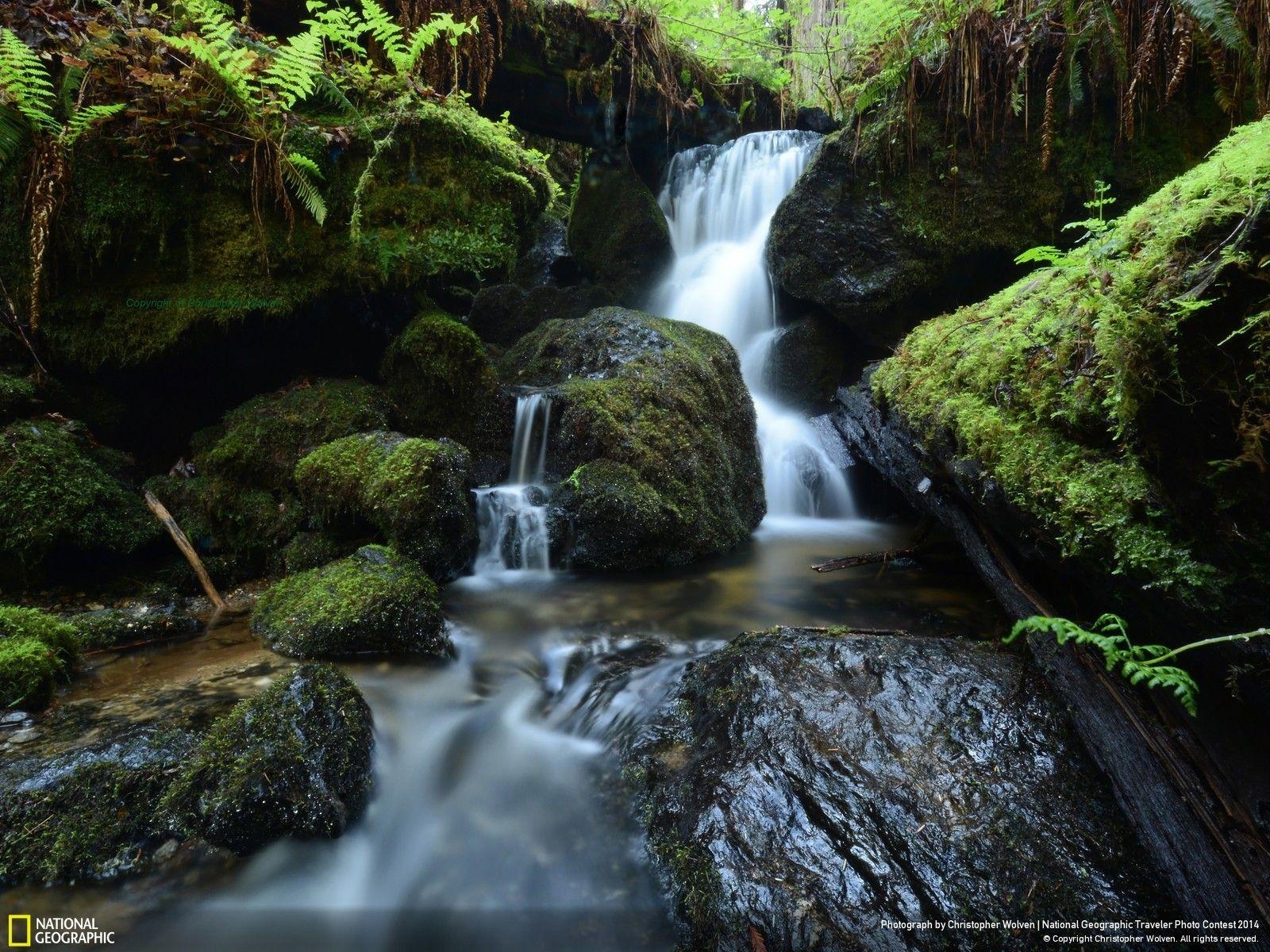 1600x1200 Trillium Falls National Park, California, Desktop