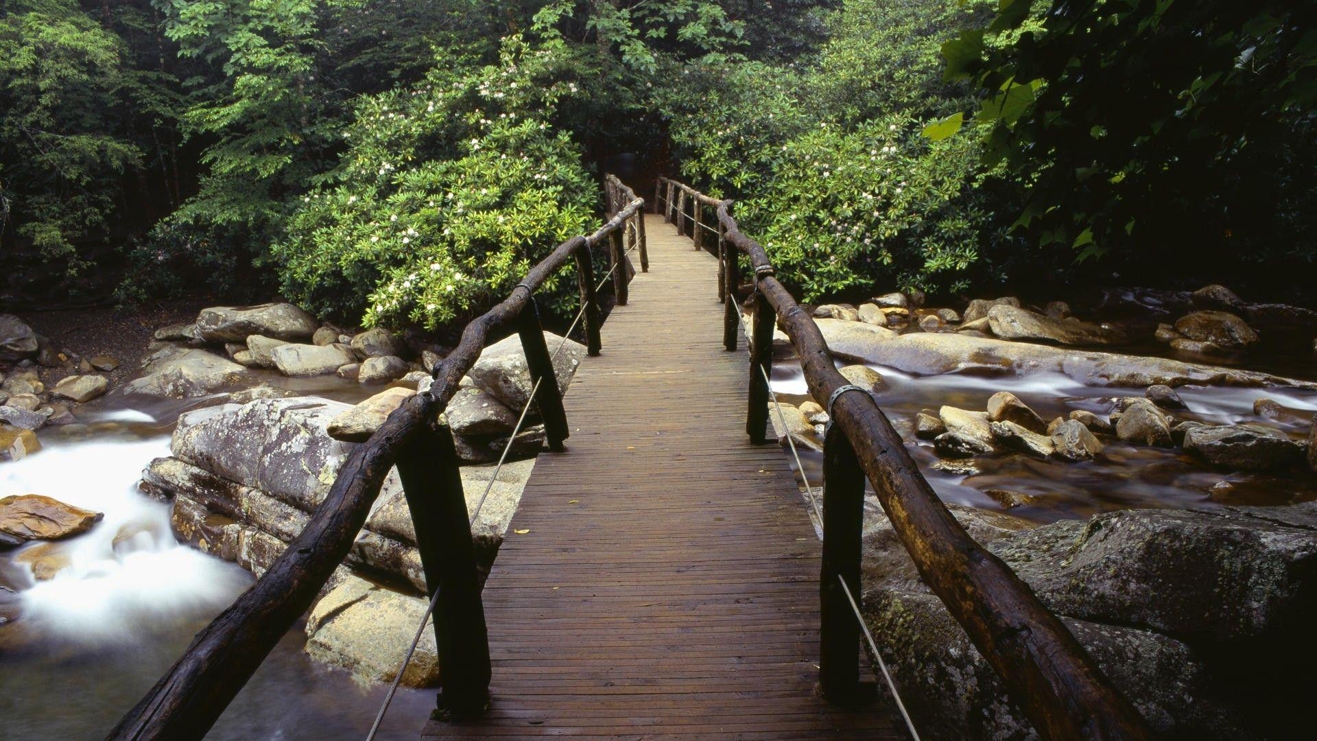 1920x1080 Great Smoky Mountains National Park Wallpaper, Desktop